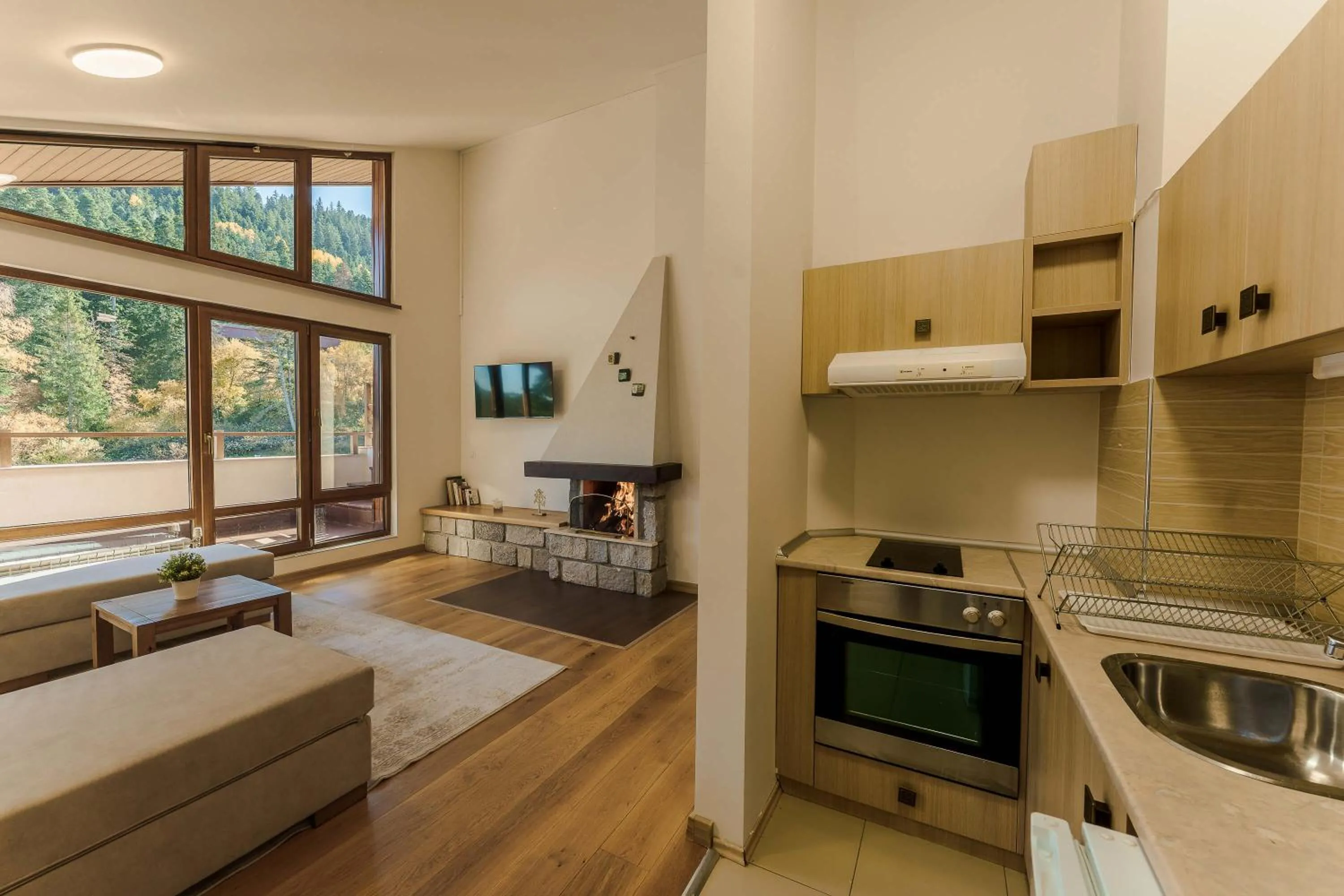 Kitchen or kitchenette in Musala Hotel