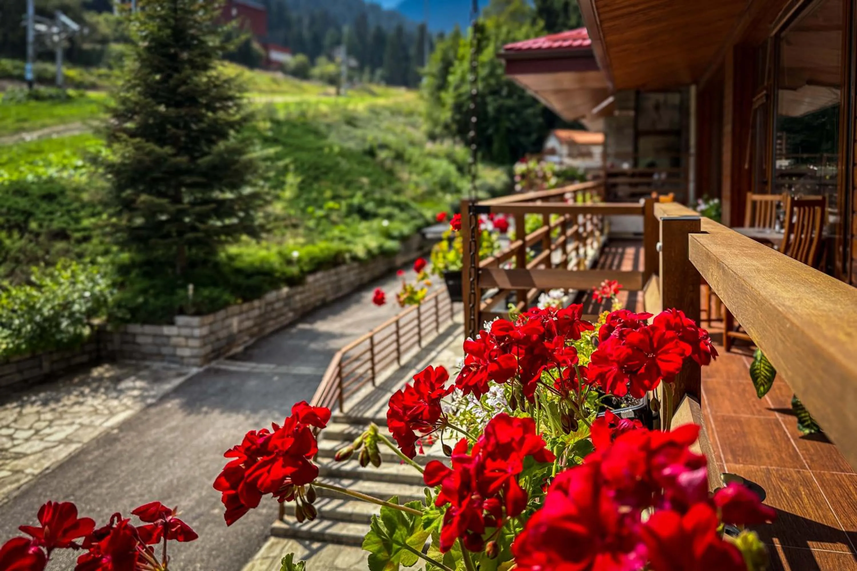 View (from property/room) in Musala Hotel