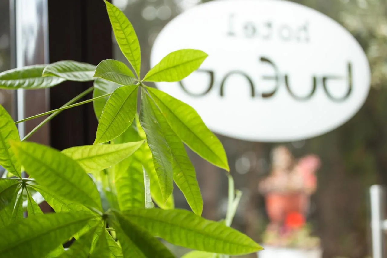 Property building in Hotel Bueno