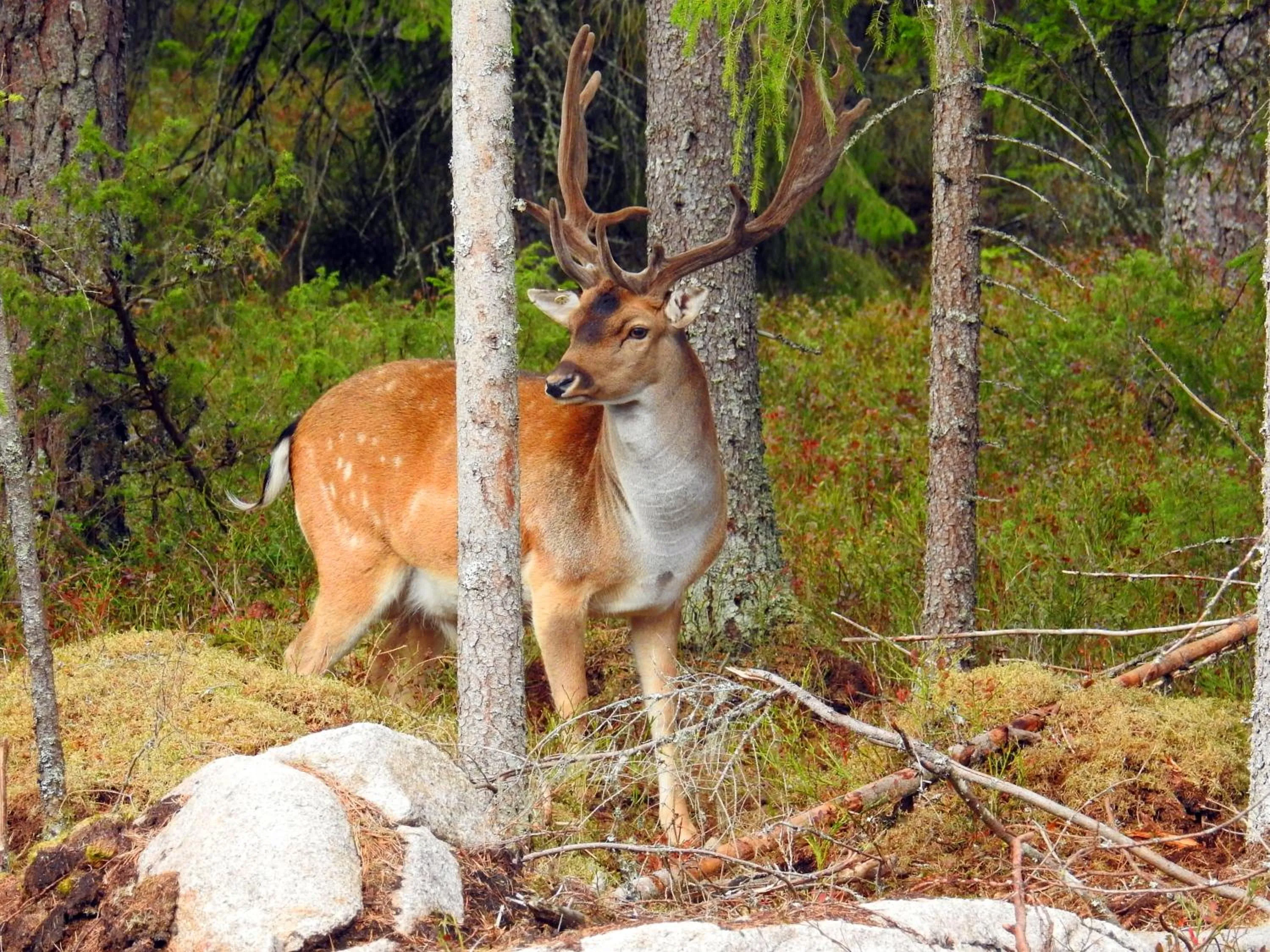 Off site in Kosta Lodge
