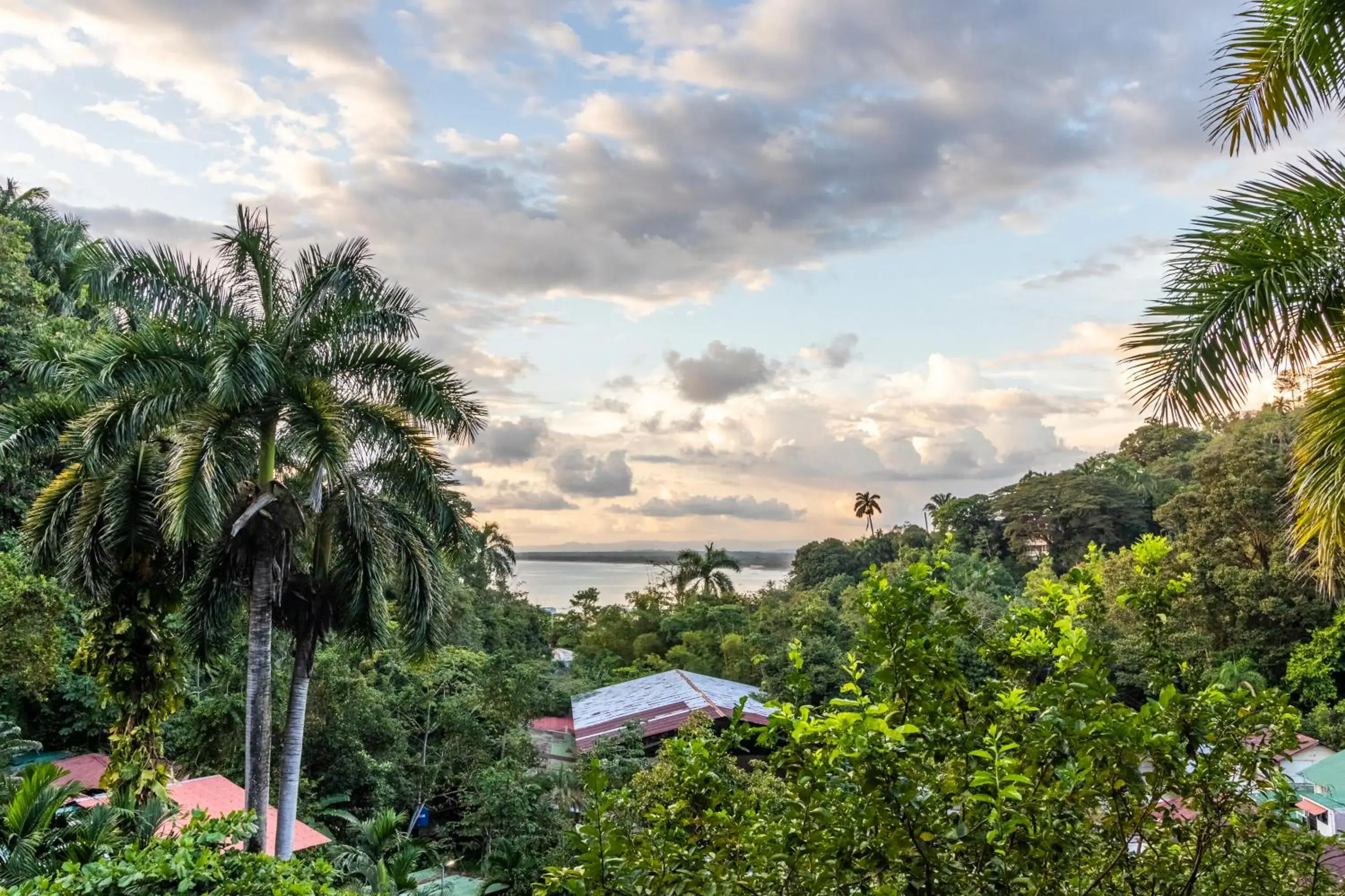 View (from property/room) in Boutique Hotel Las Cascadas View (from property/room) in Boutique Hotel Las Cascadas