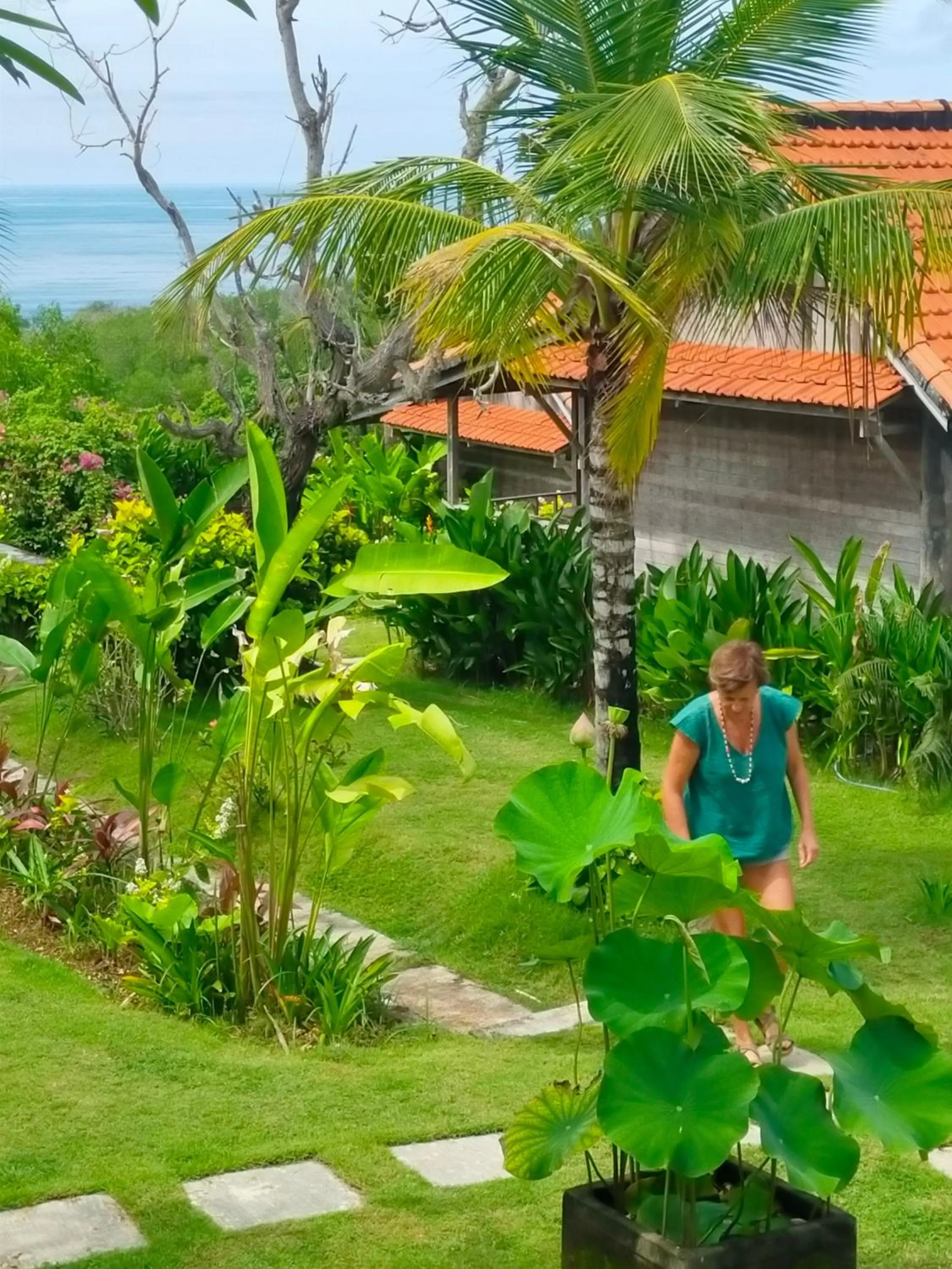 Garden view in Green Bowl Beach Villas