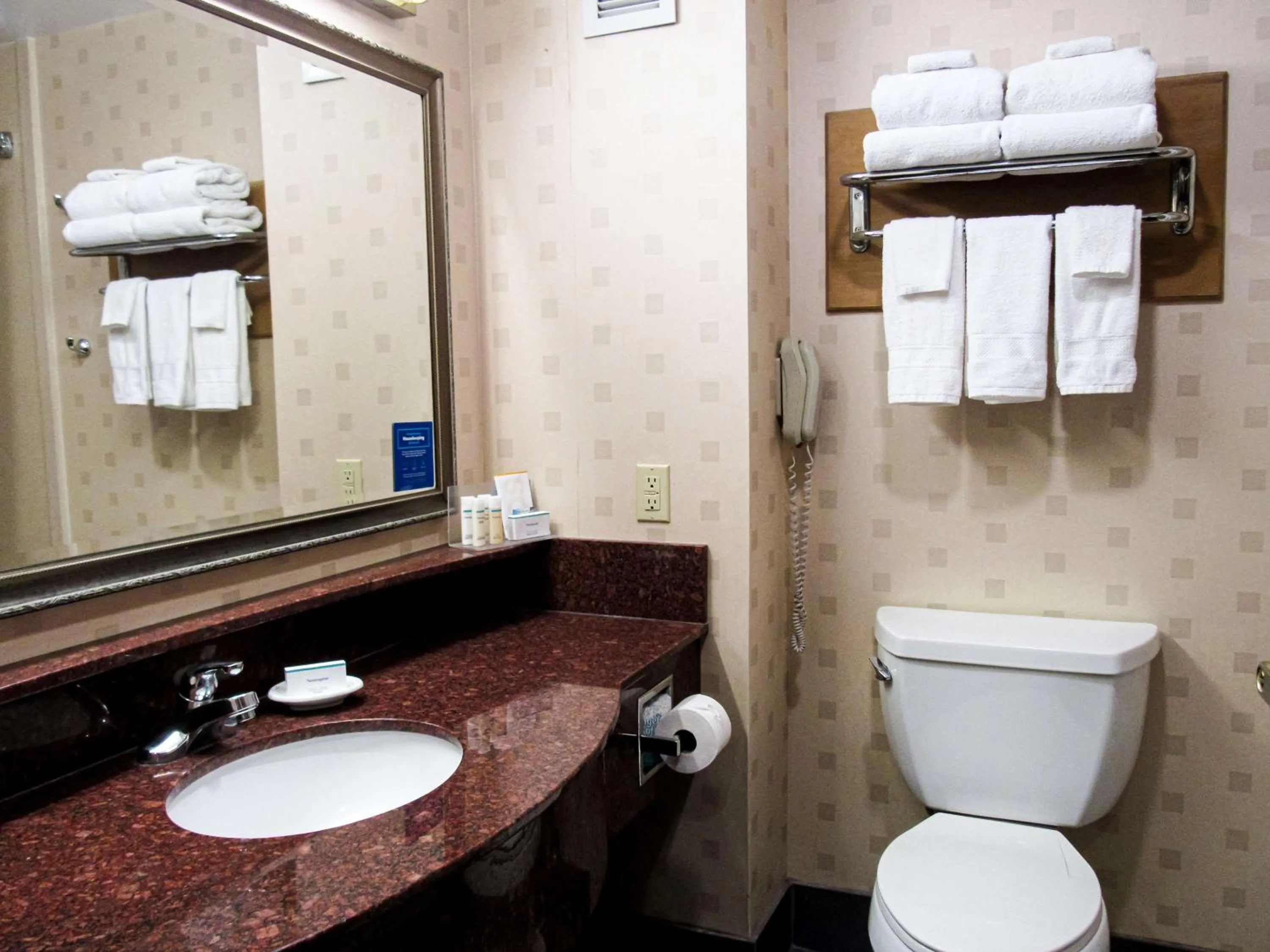 Bathroom in Hampton Inn Oxford-West