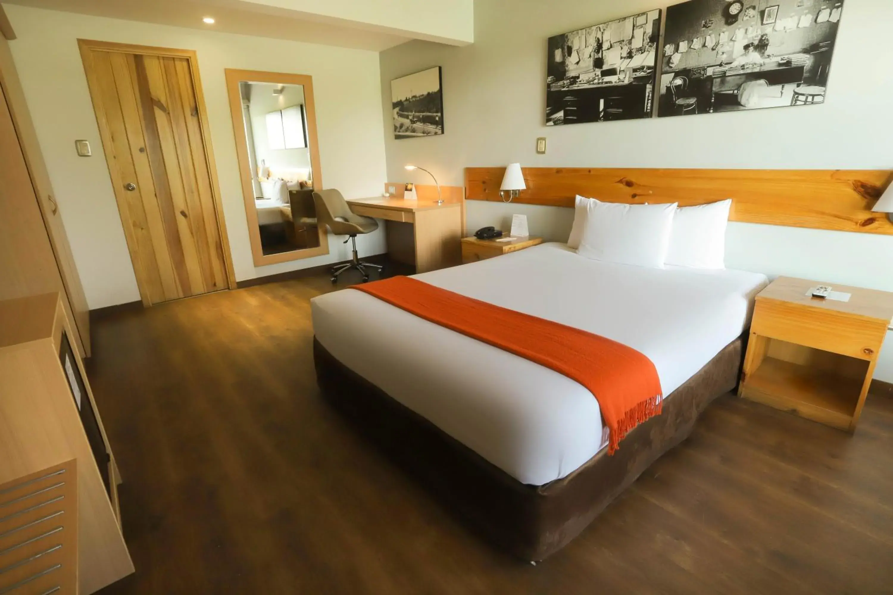 Double Room - single occupancy in Casa Andina Standard Chincha Double Room - single occupancy in Casa Andina Standard Chincha