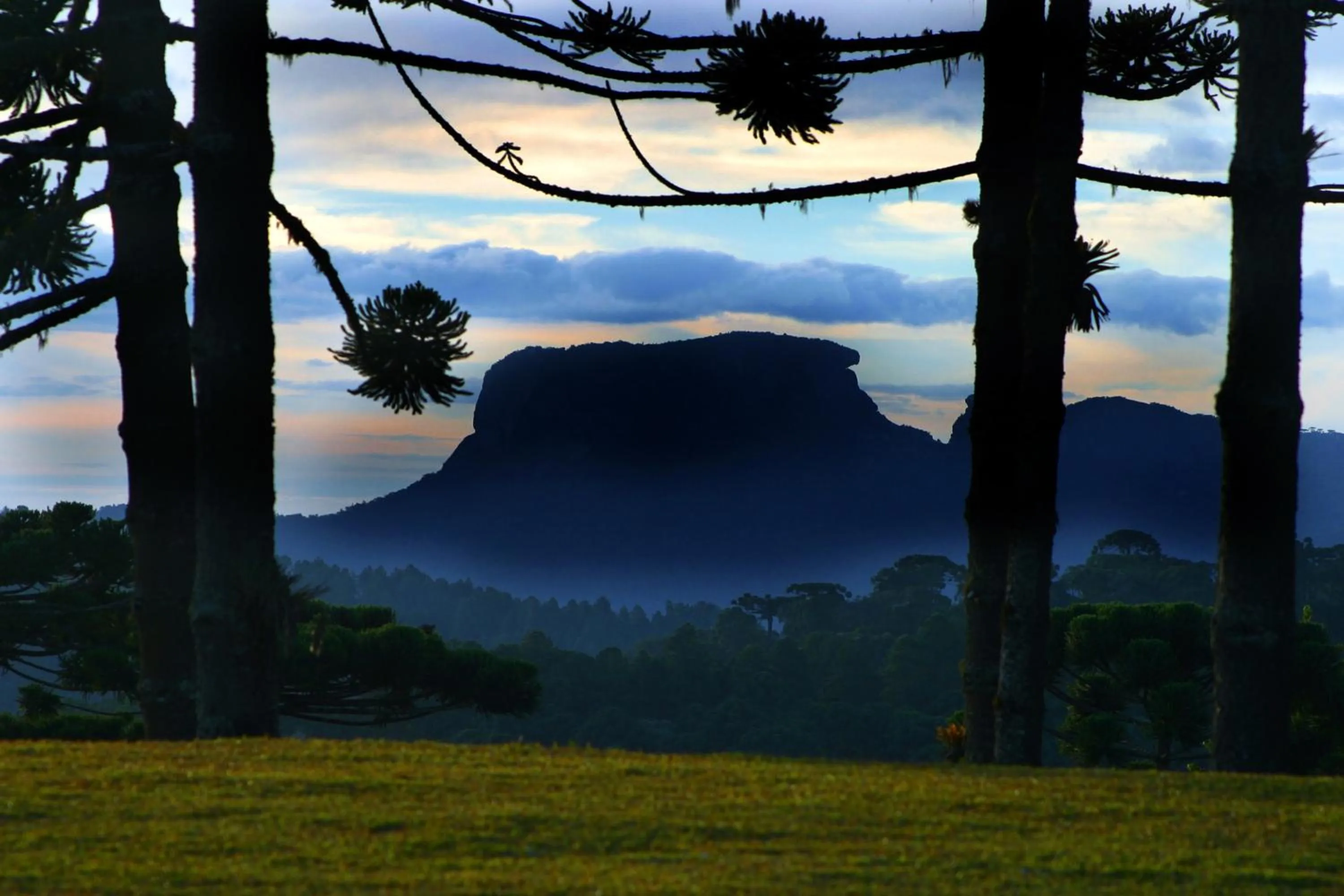 Surya-Pan Refúgio Hotel - Super Pet Friendly