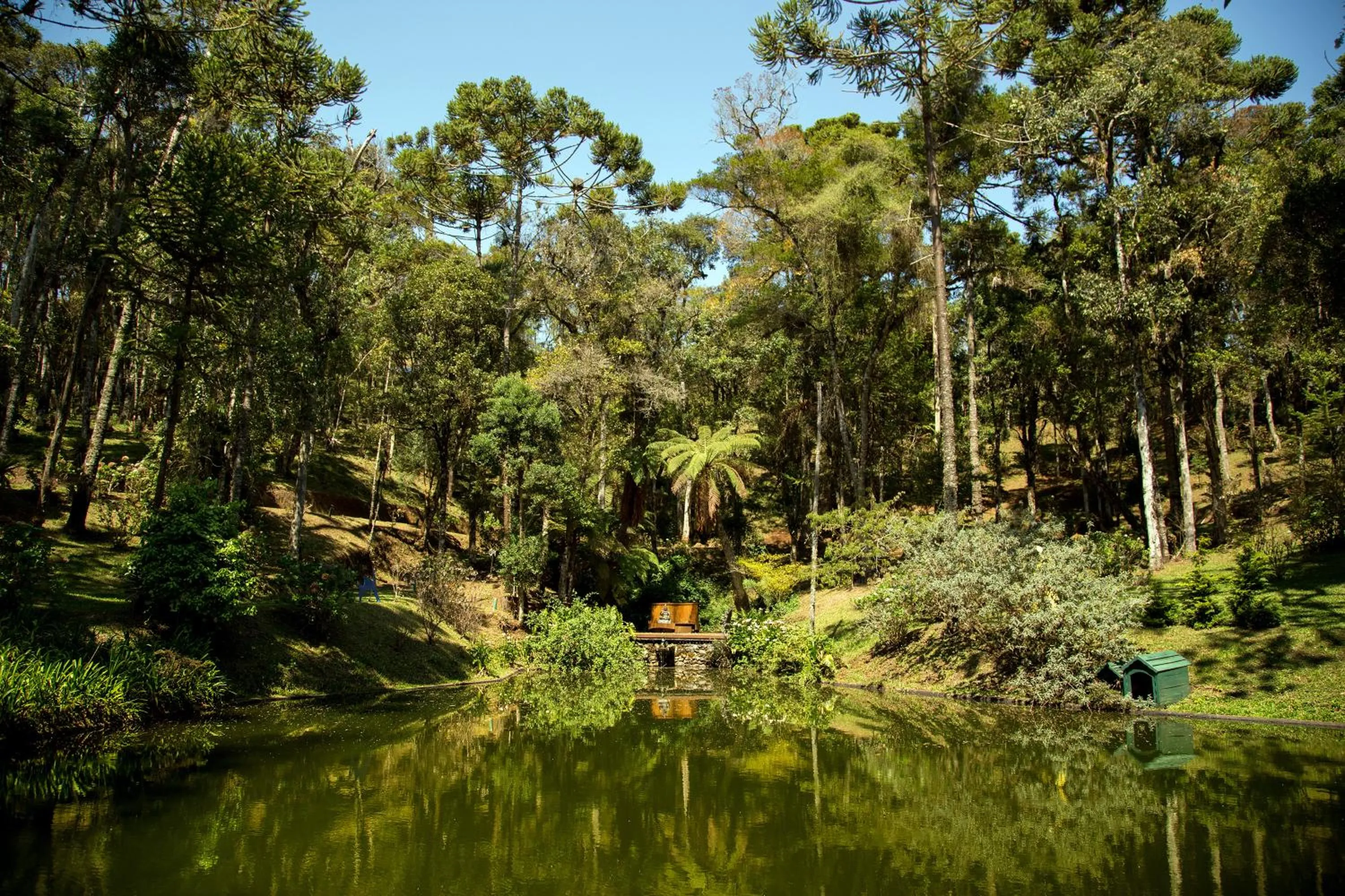 Surya-Pan Refúgio Hotel - Super Pet Friendly