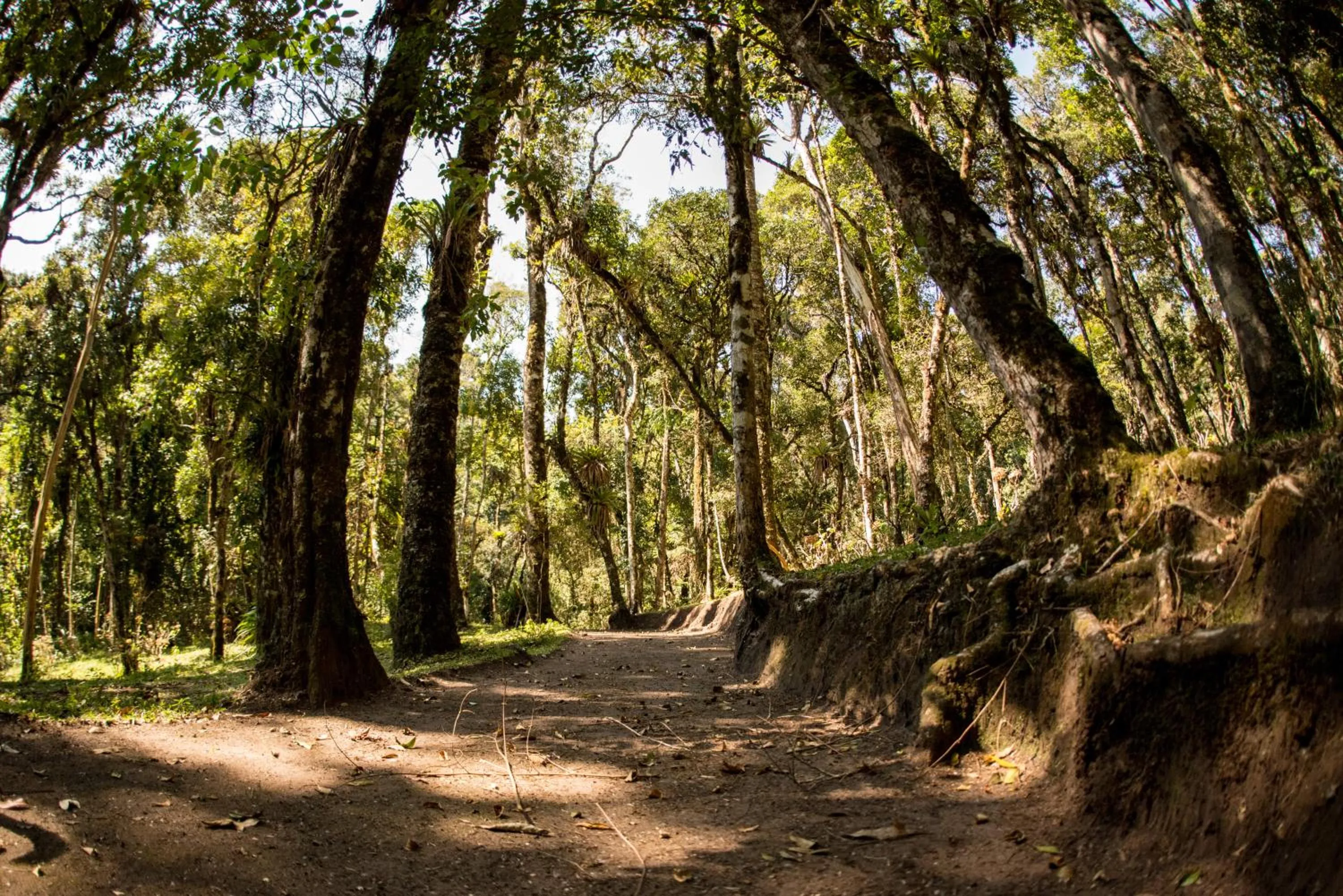 Garden in Surya-Pan Refúgio Hotel - Super Pet Friendly