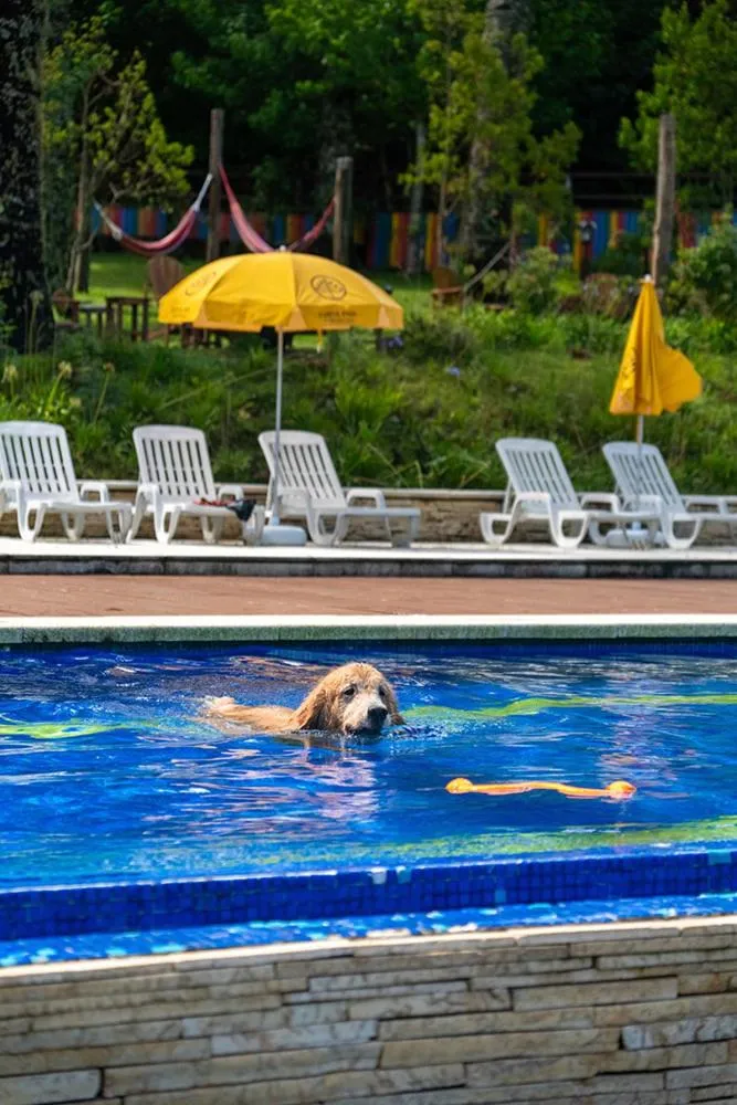 Pets in Surya-Pan Refúgio Hotel - Super Pet Friendly