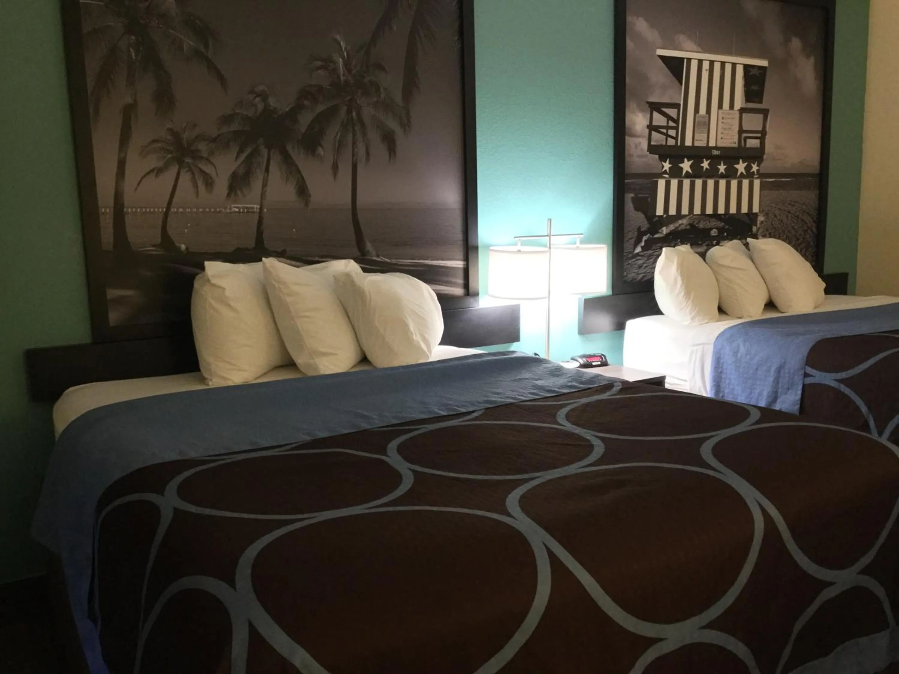 Bedroom, Bed in Super8 by Wyndham NEARBY Clearwater St Petersburg International Airport