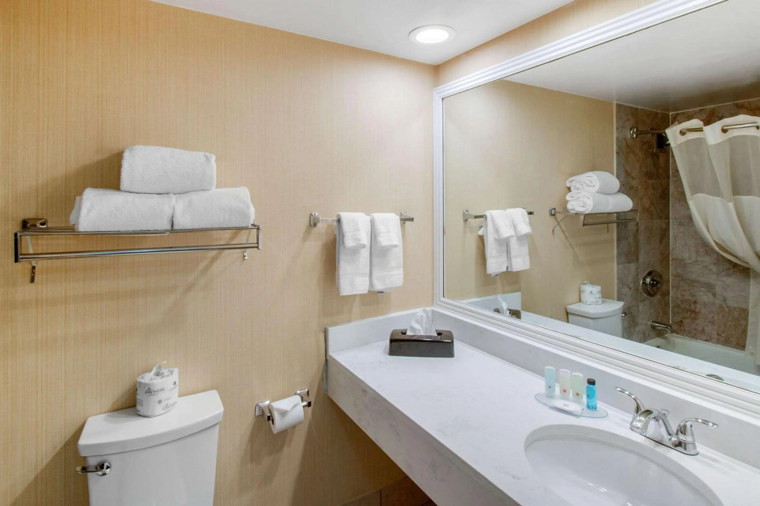 Bathroom in Clarion Hotel Denver Central