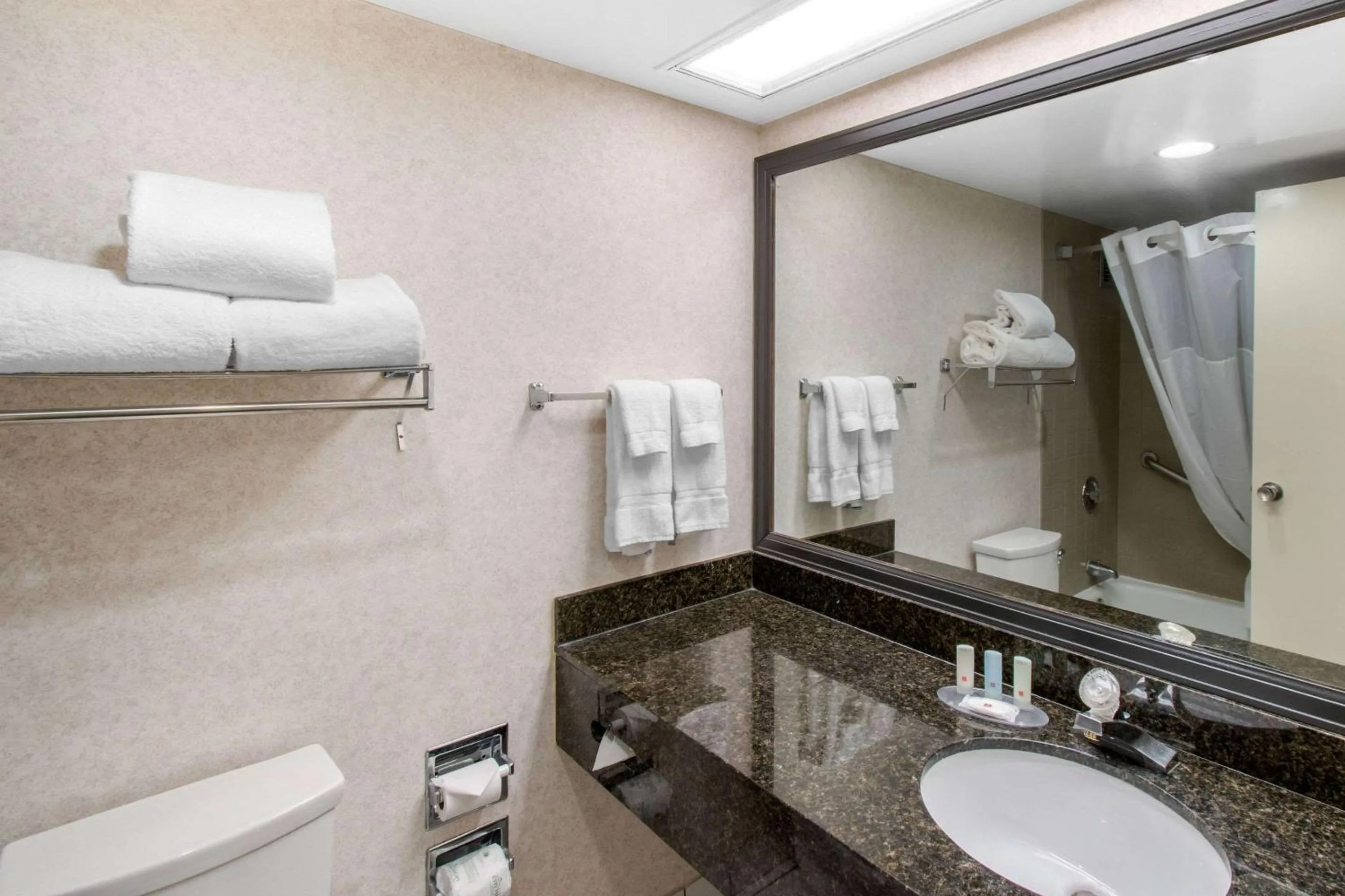 Bathroom in Clarion Hotel Denver Central