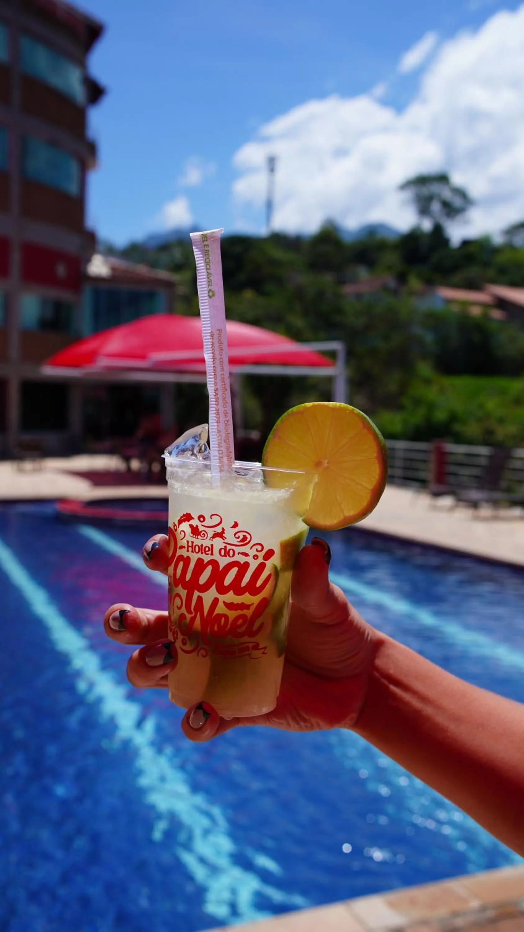 Day in Hotel do Papai Noel