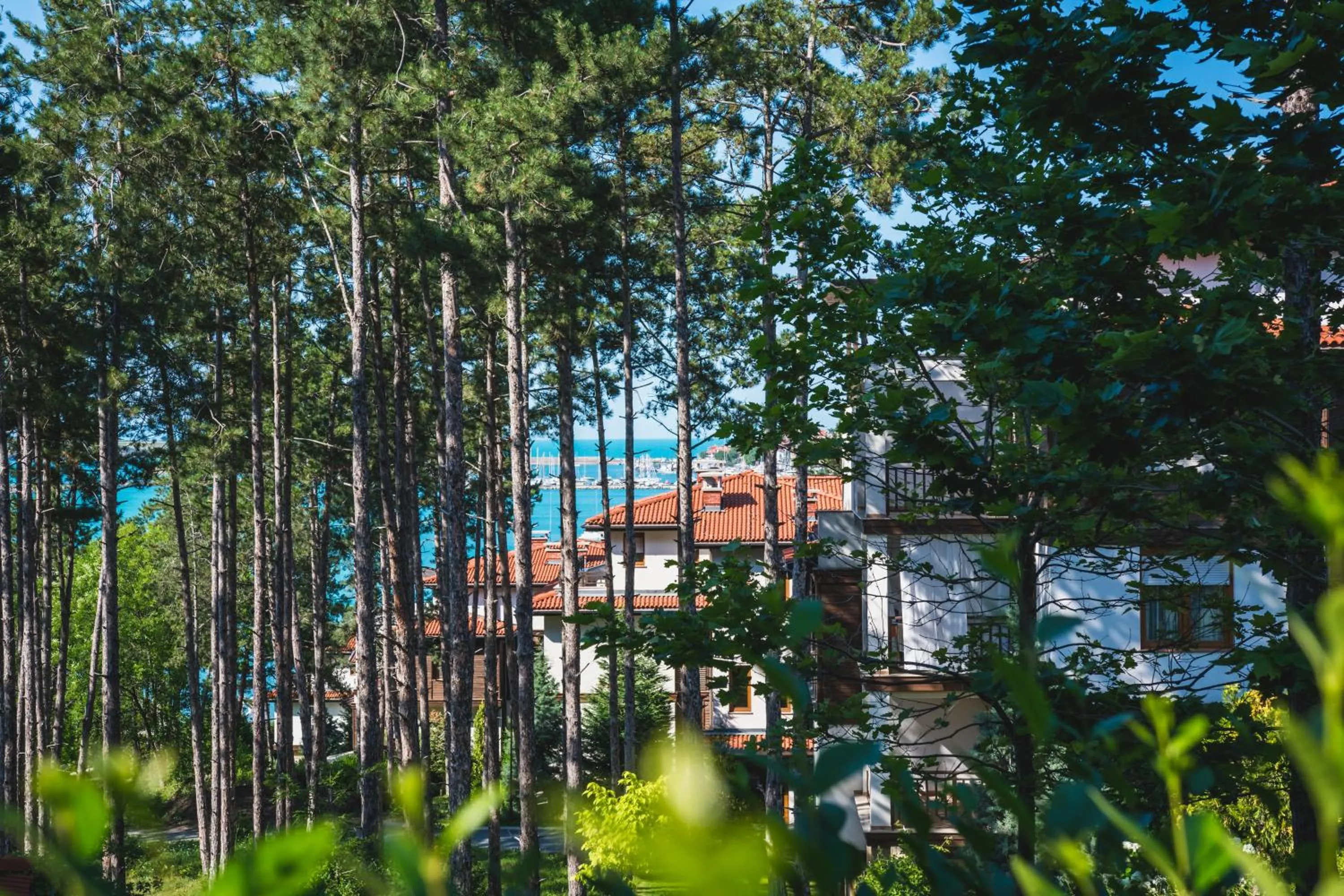 Garden in Santa Marina Holiday Village