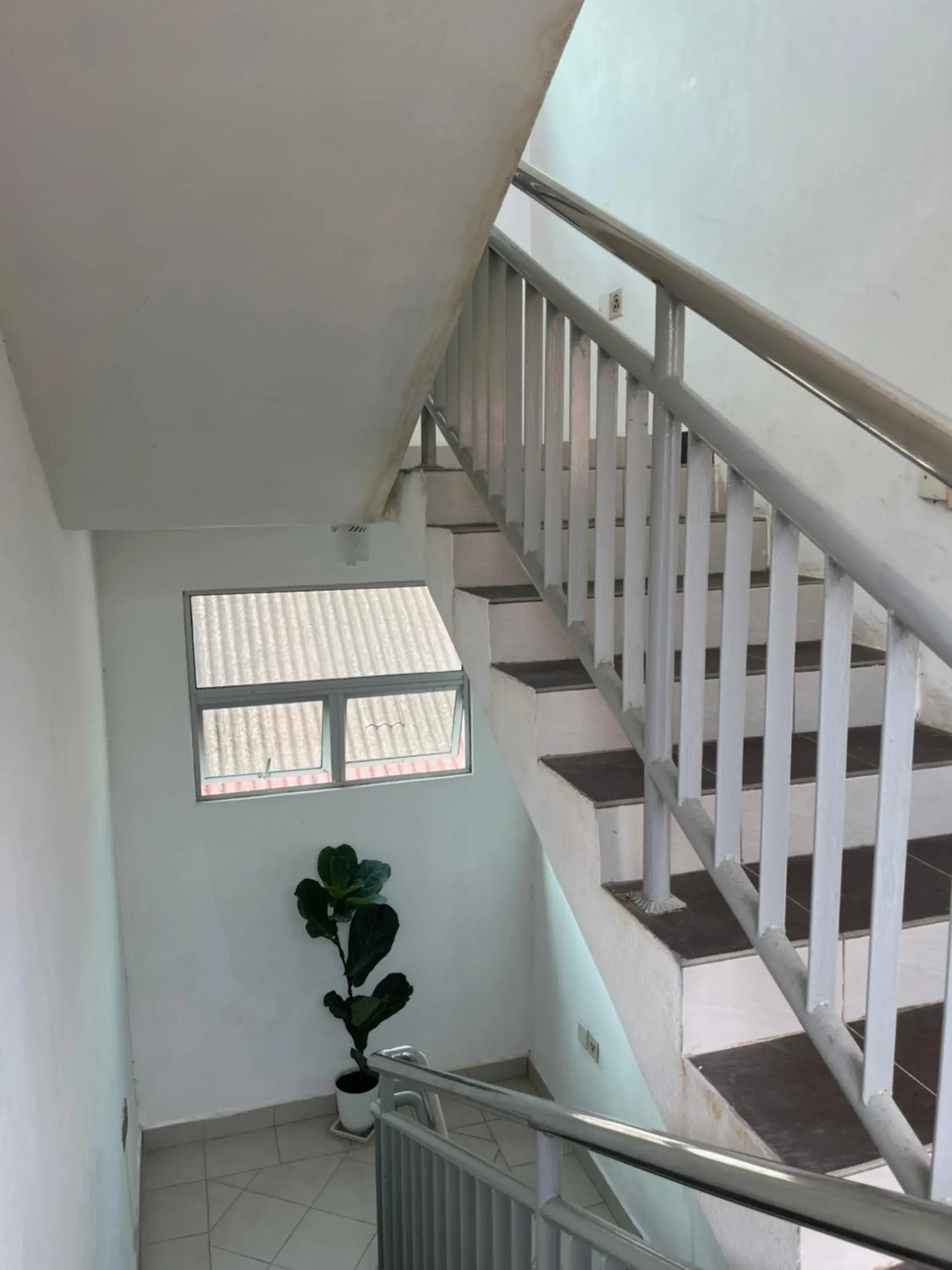 Property building in White Lodge Property building in White Lodge