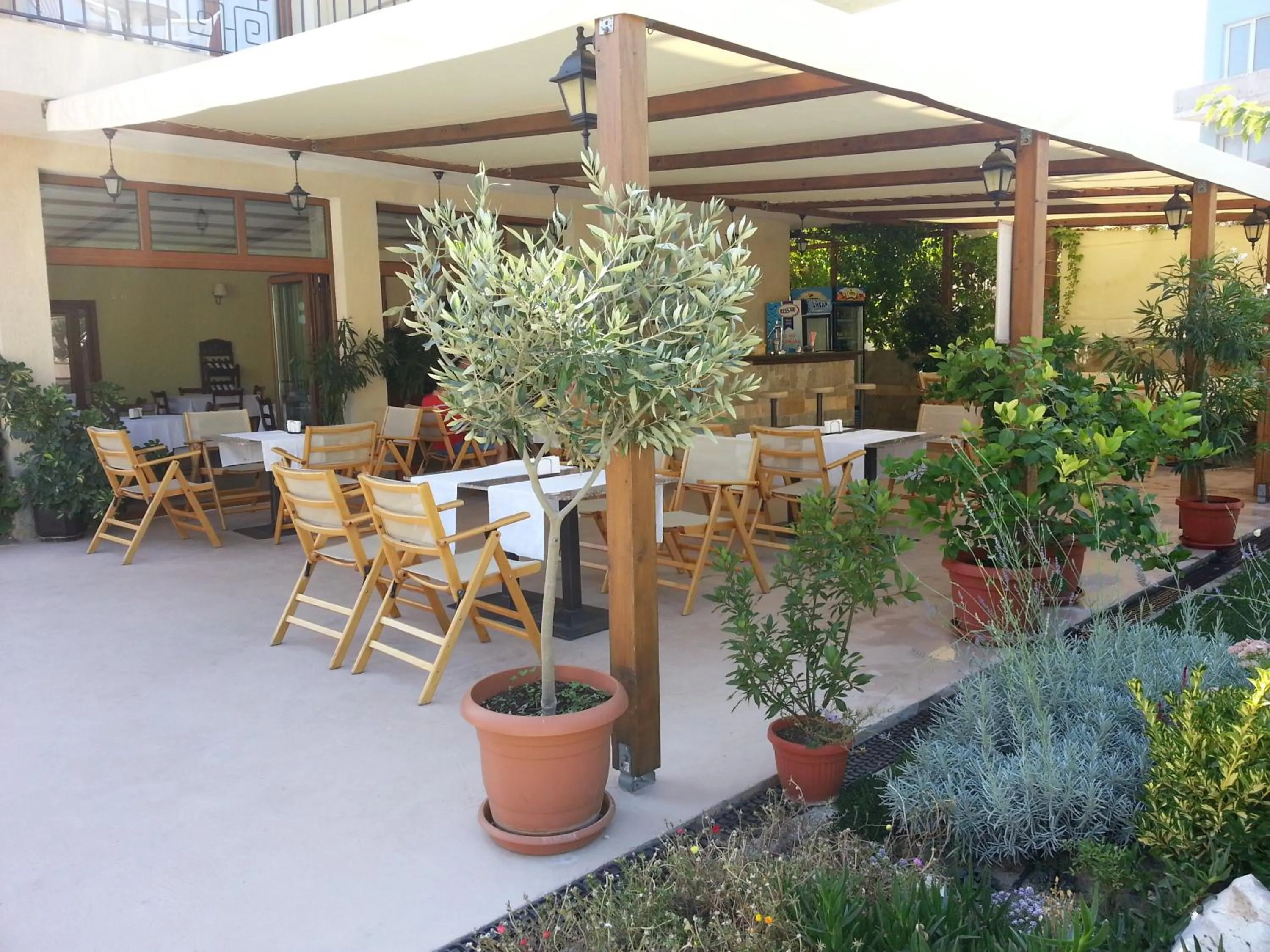 Restaurant/places to eat in Family Hotel Muses