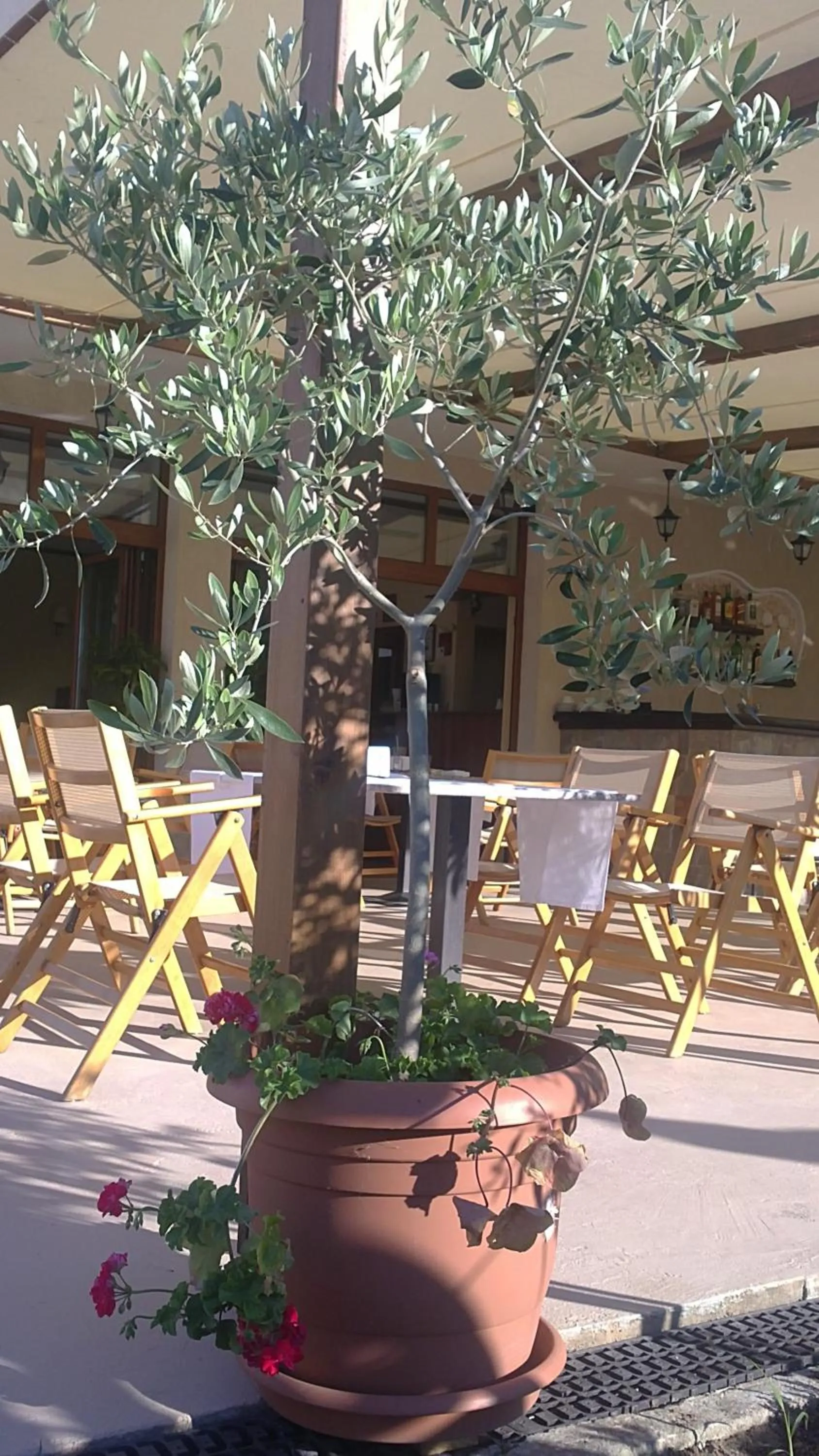 Decorative detail in Family Hotel Muses