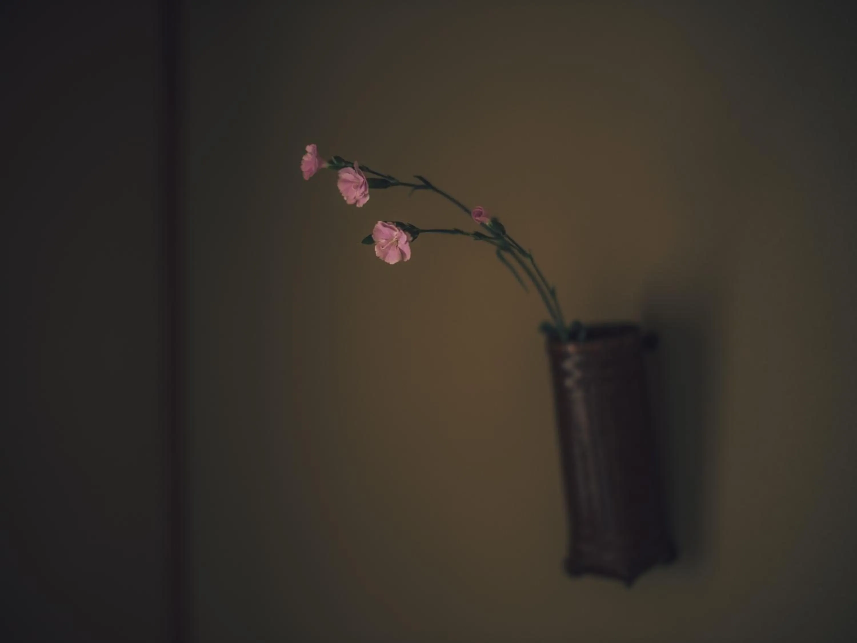 Photo of the whole room in Ryokan Motonago