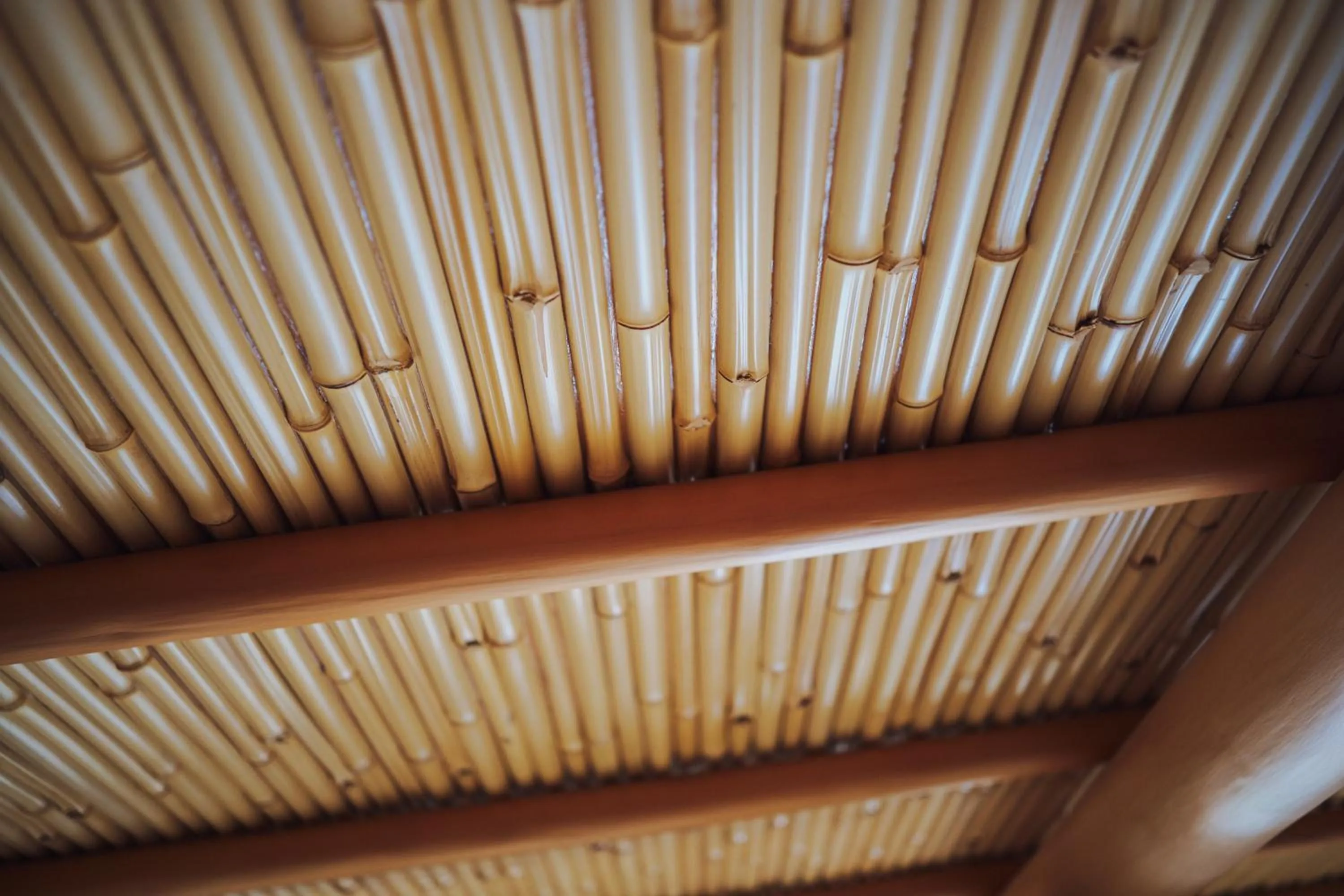 Photo of the whole room in Ryokan Motonago