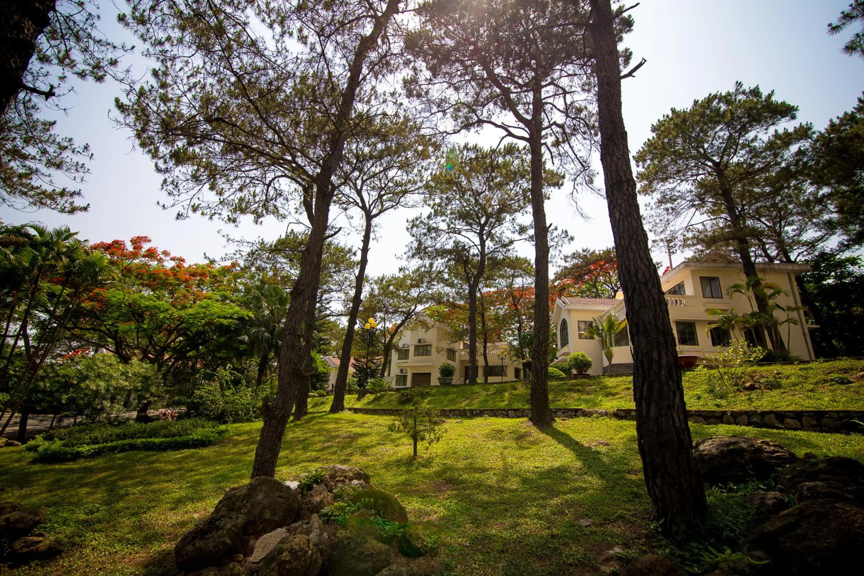 Property building in Sai Gon Ha Long Hotel