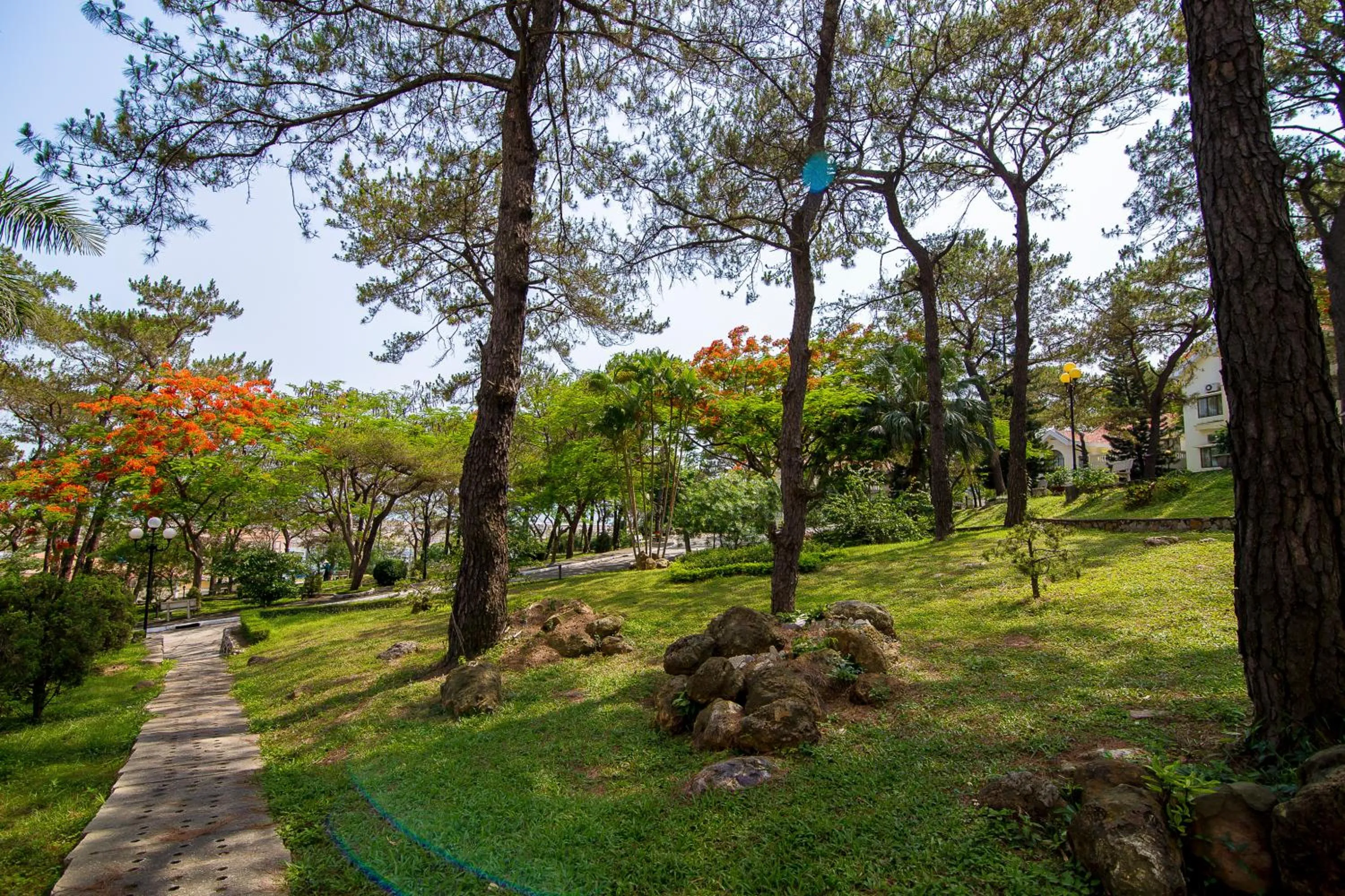 Day in Sai Gon Ha Long Hotel