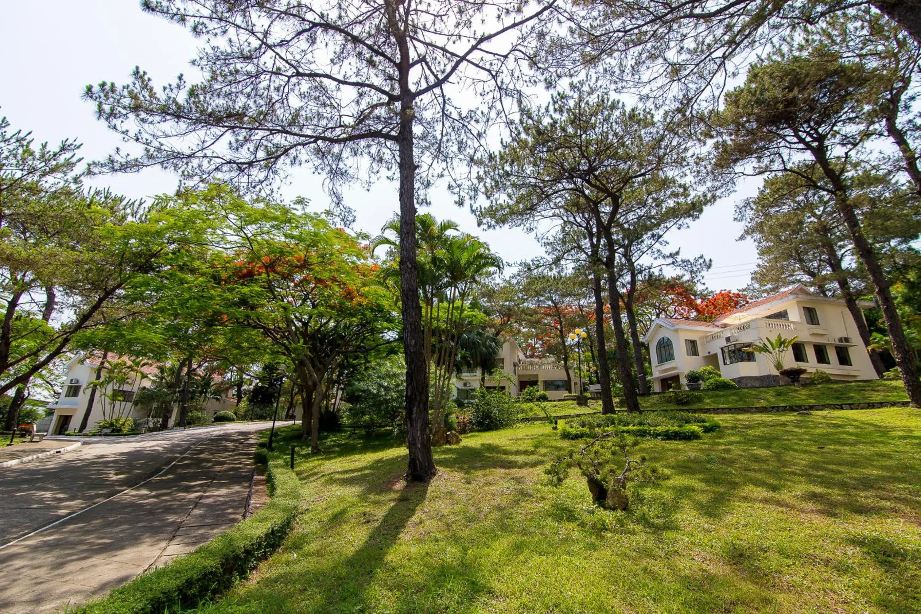 Property building in Sai Gon Ha Long Hotel Property building in Sai Gon Ha Long Hotel