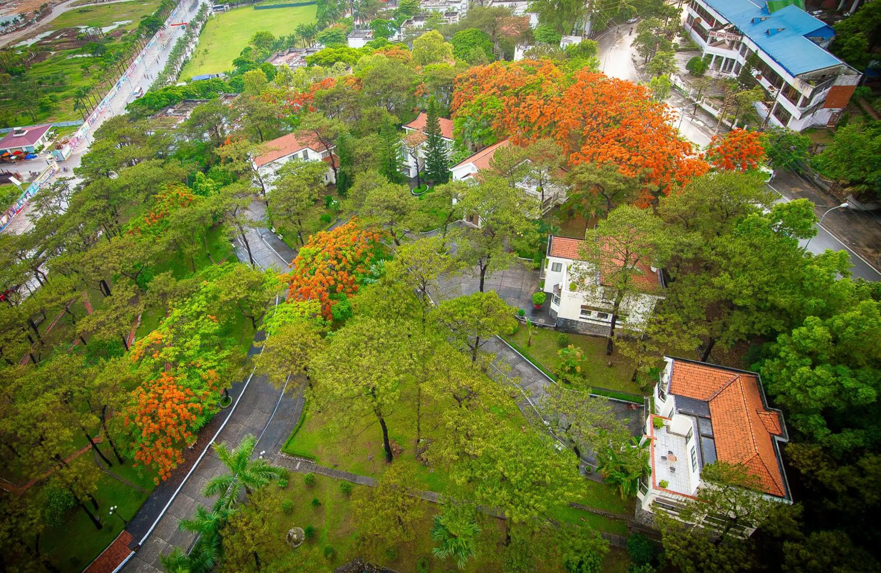 Day in Sai Gon Ha Long Hotel