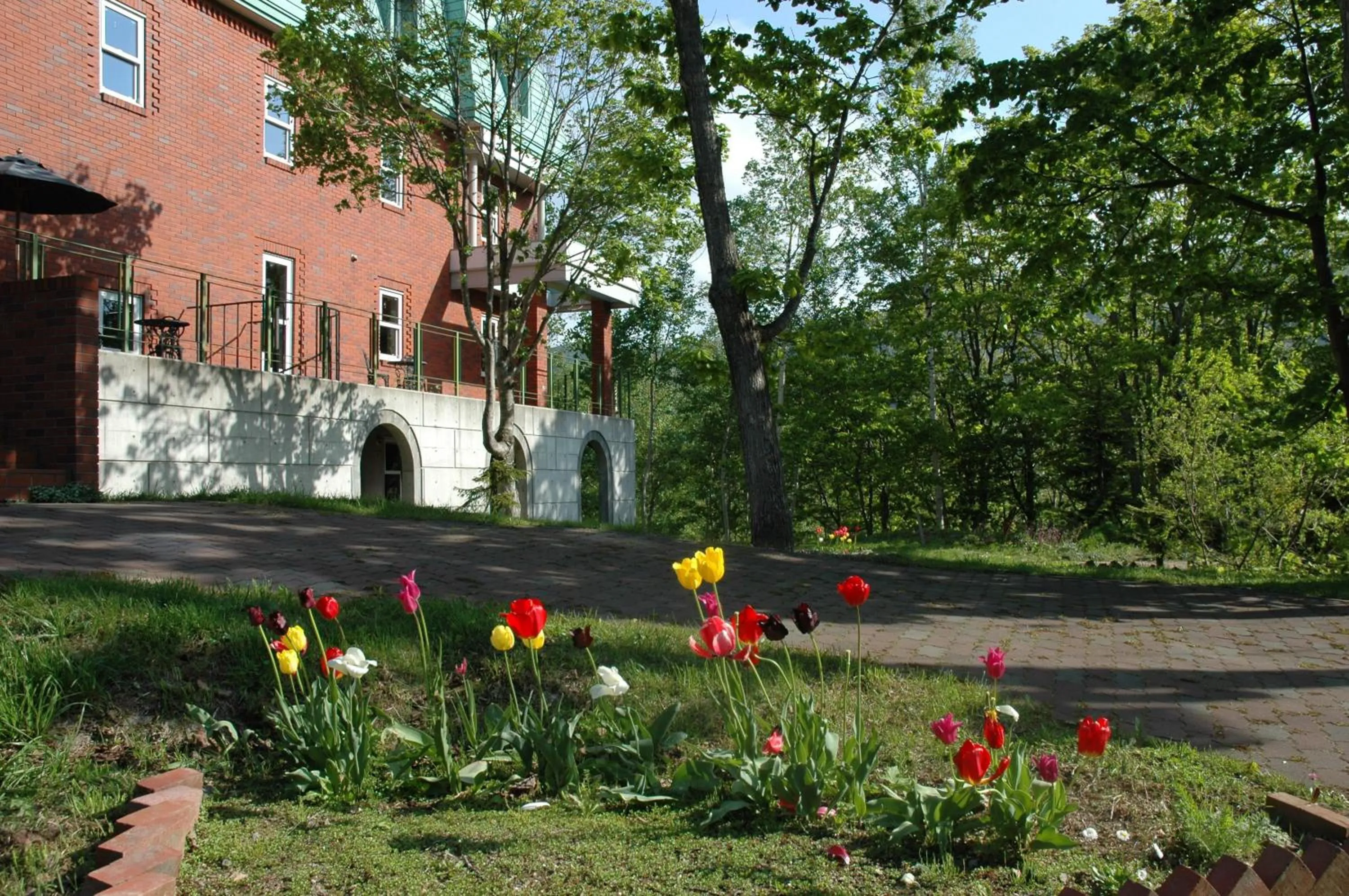 Spring in Niseko Freedom Inn