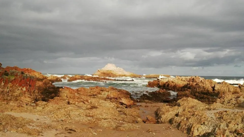 Area and facilities in South Villa Guesthouse&Garden