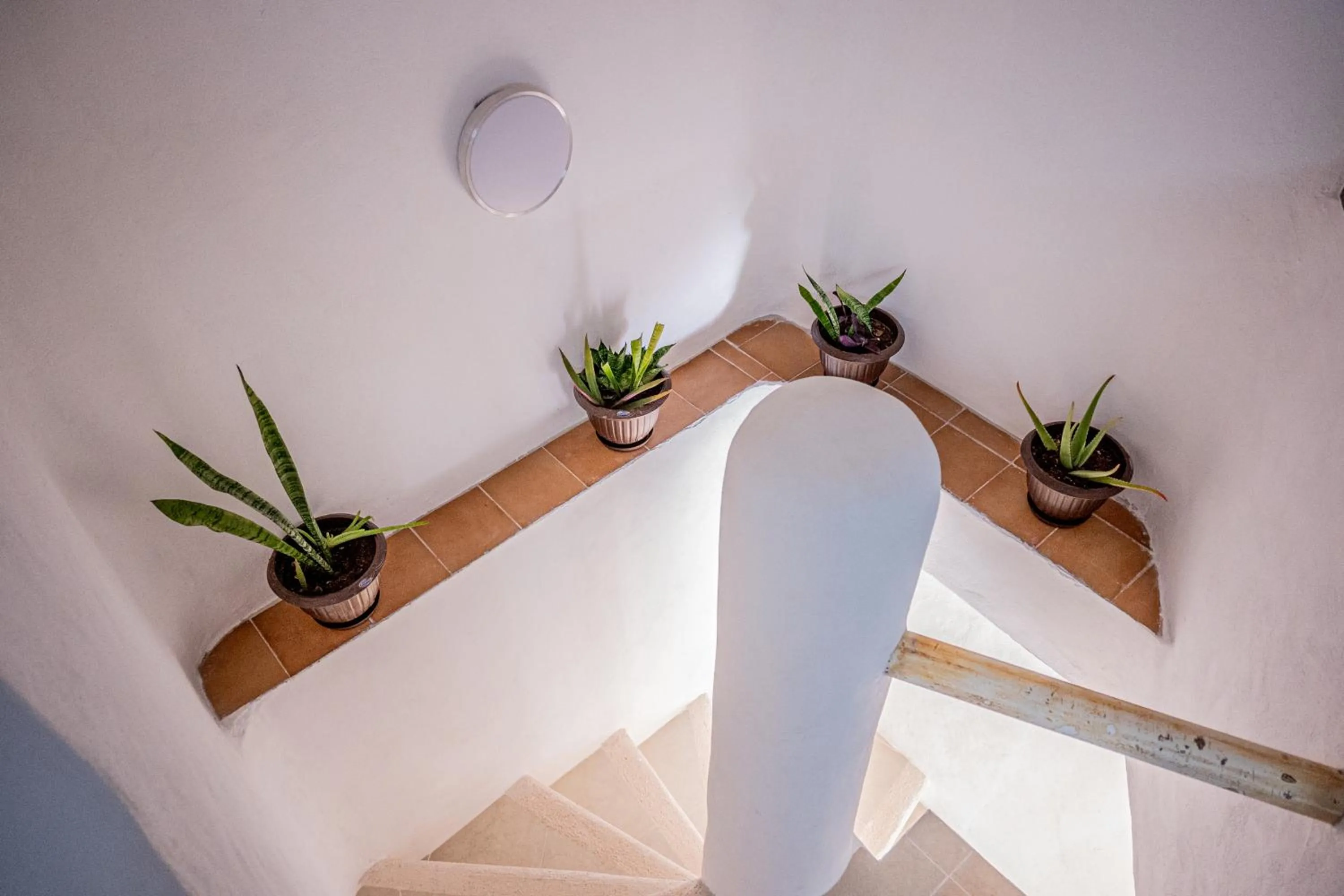 Cancún Suites Apartments - Hotel Zone