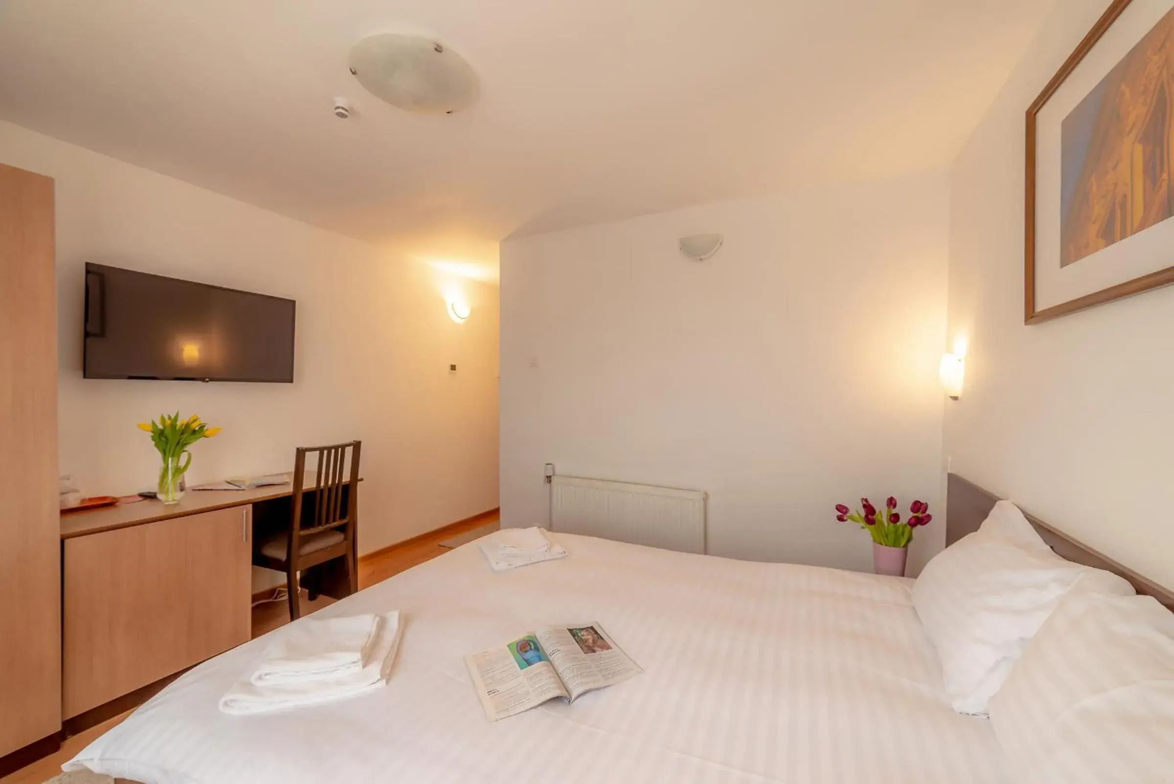 Standard Double Room in Pension Cluj Standard Double Room in Pension Cluj