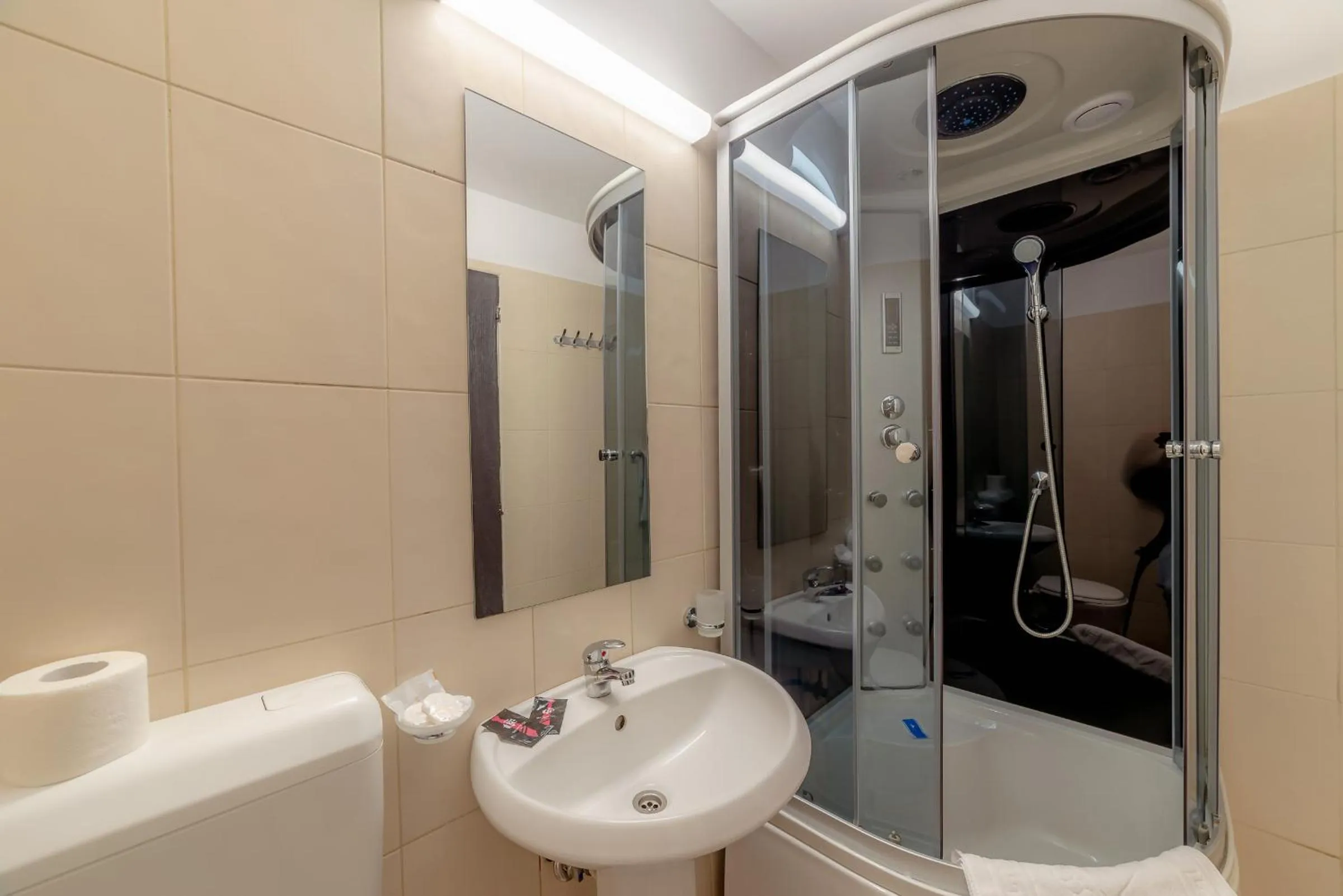 Bathroom in Pension Cluj