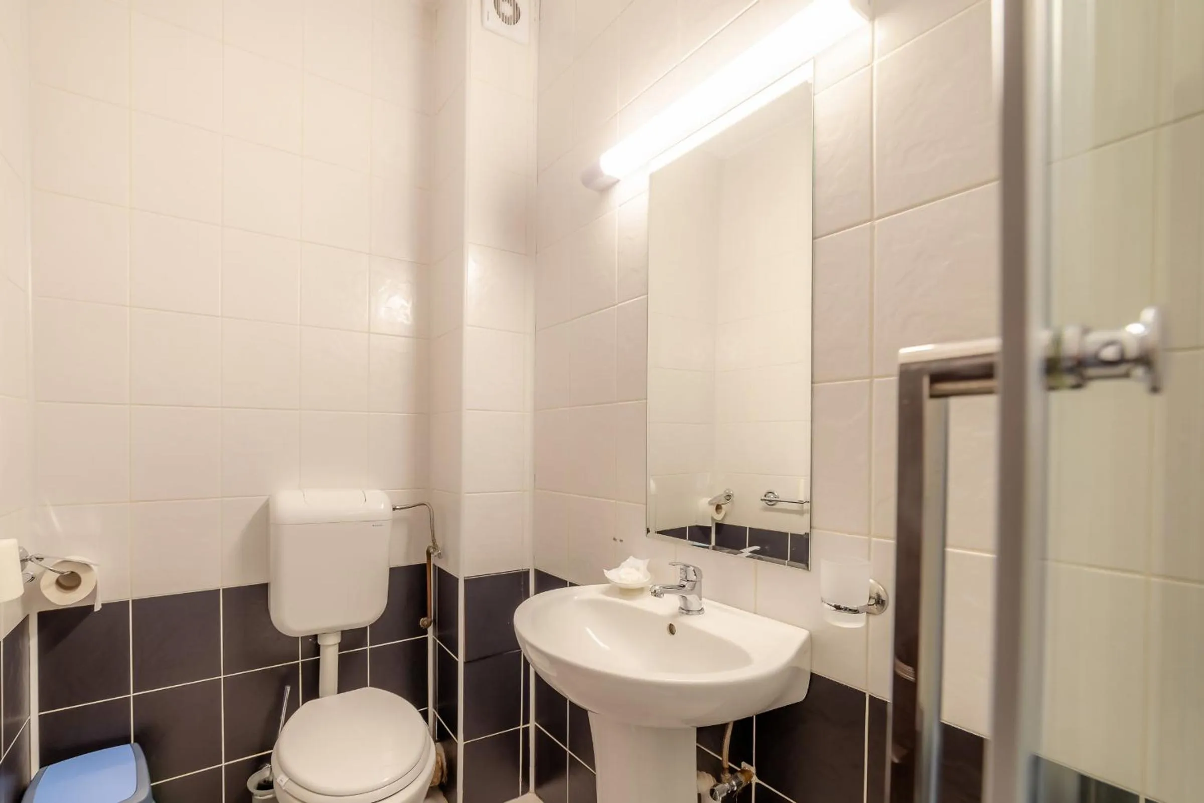 Bathroom in Pension Cluj