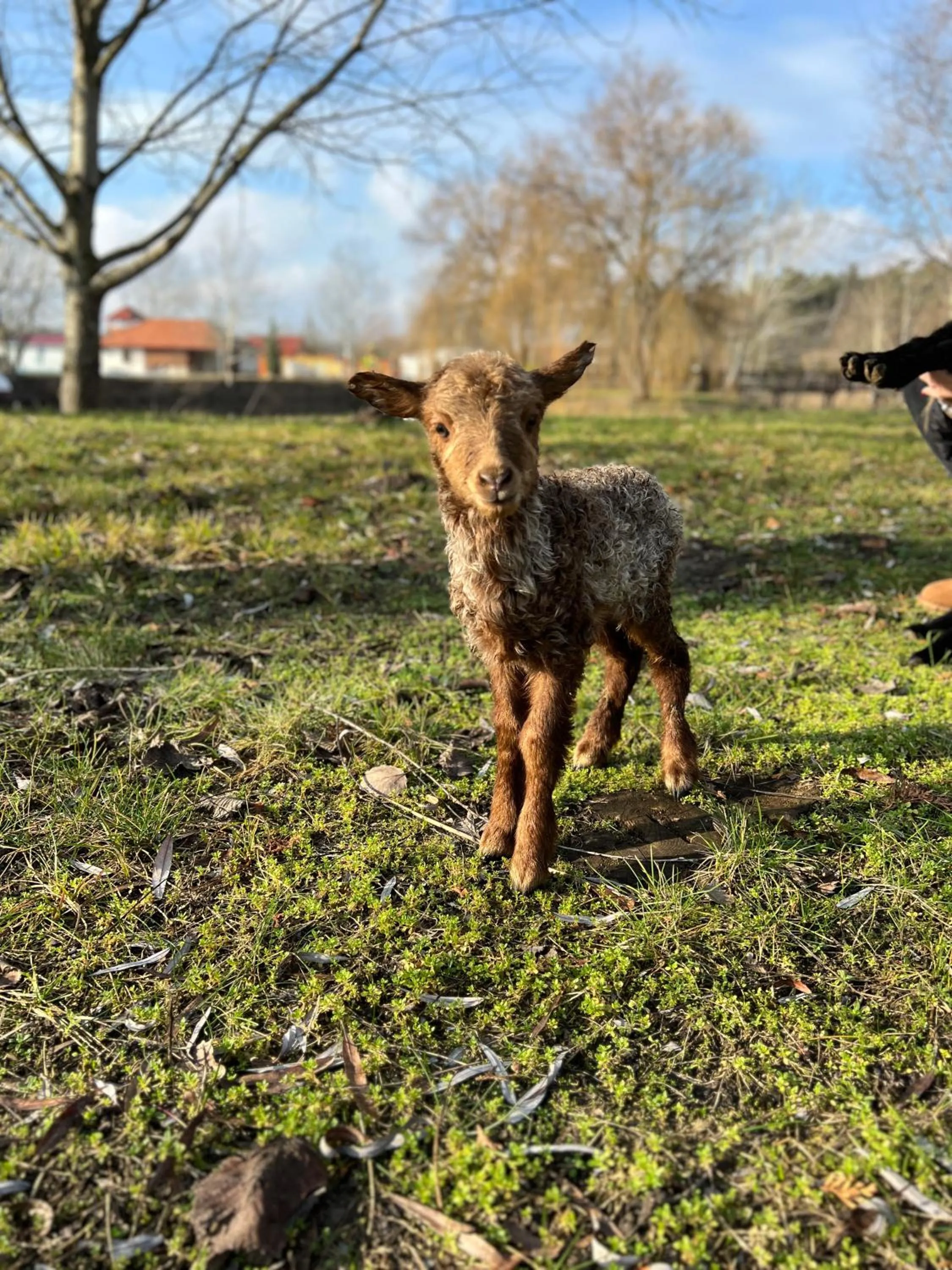 Day in Erdőspuszta Club Hotel Fenyves
