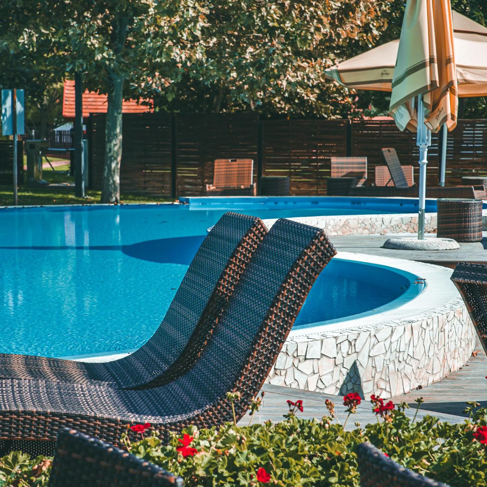 Day in Erdőspuszta Club Hotel Fenyves