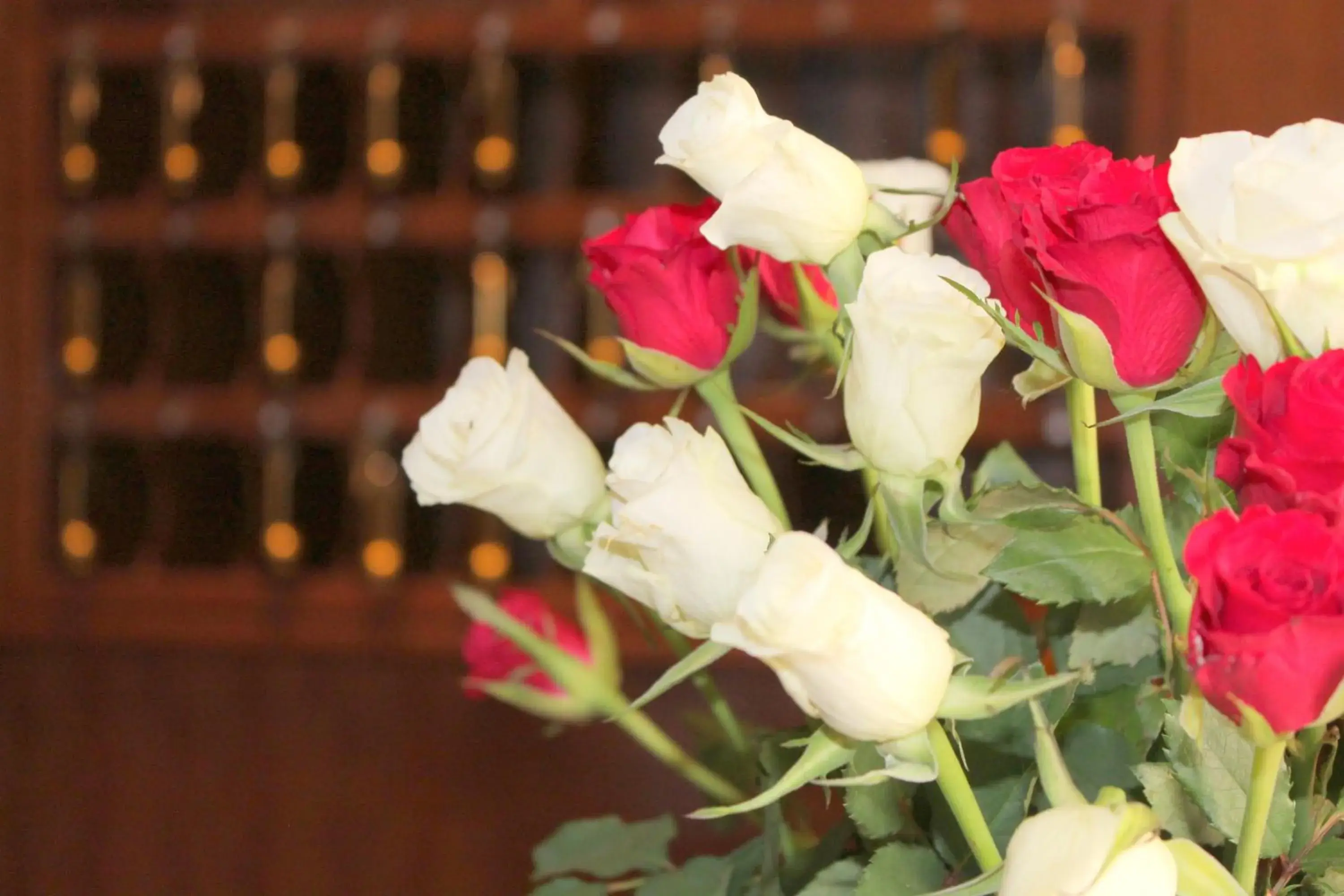 Other in Hotel Expo Frankfurt City Centre - Self Check-In Other in Hotel Expo Frankfurt City Centre - Self Check-In