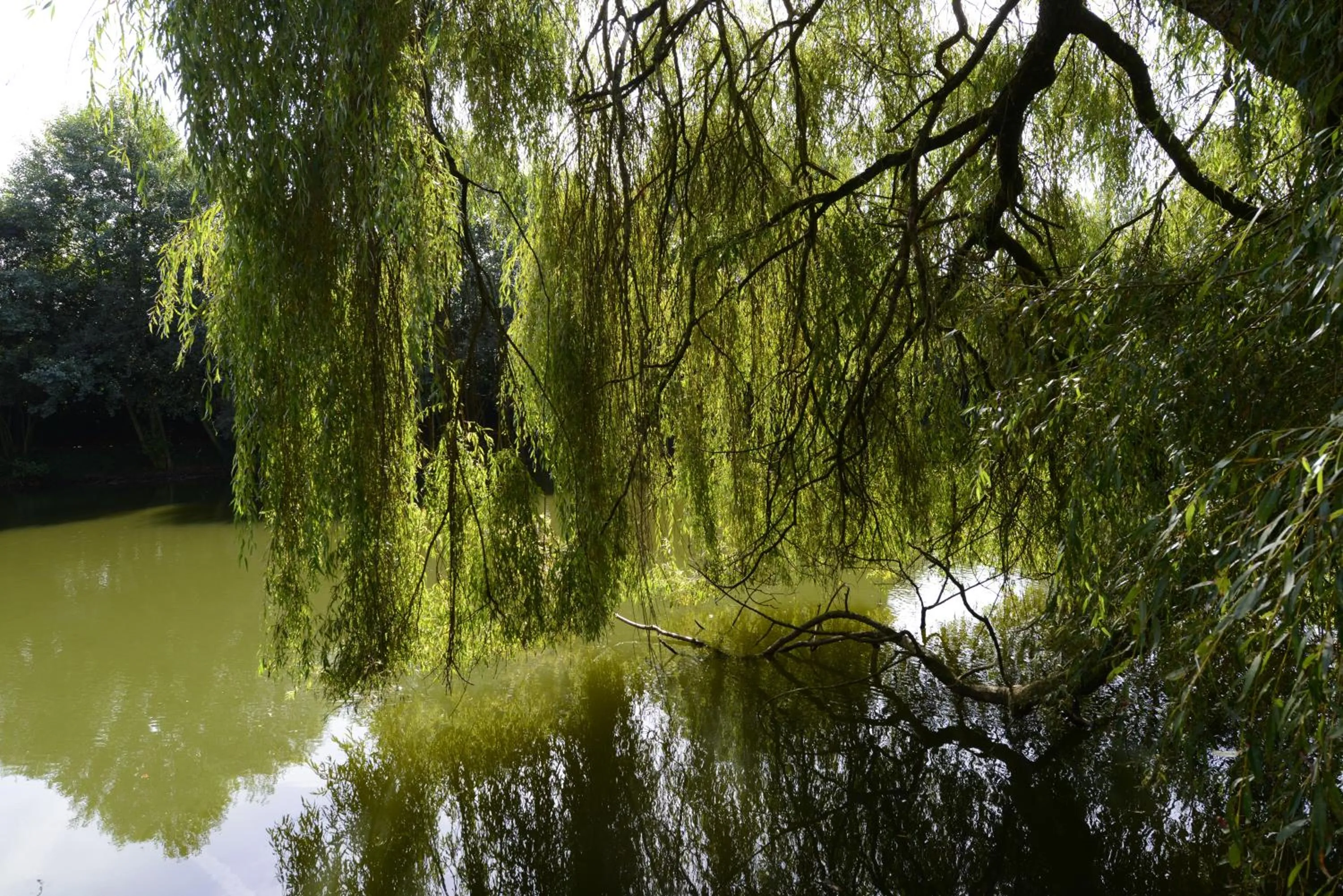 Natural landscape in Chateau Du Boisniard