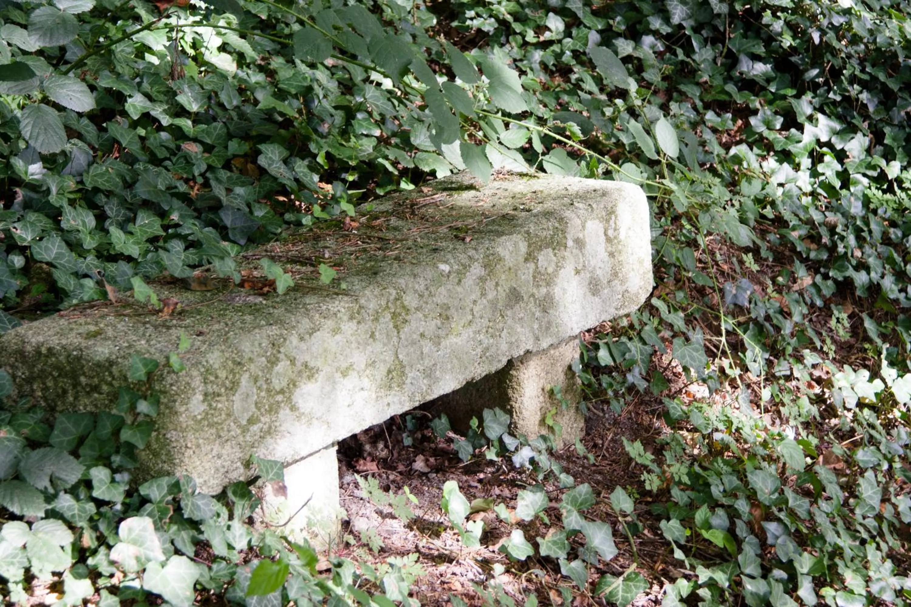 Natural landscape in Chateau Du Boisniard