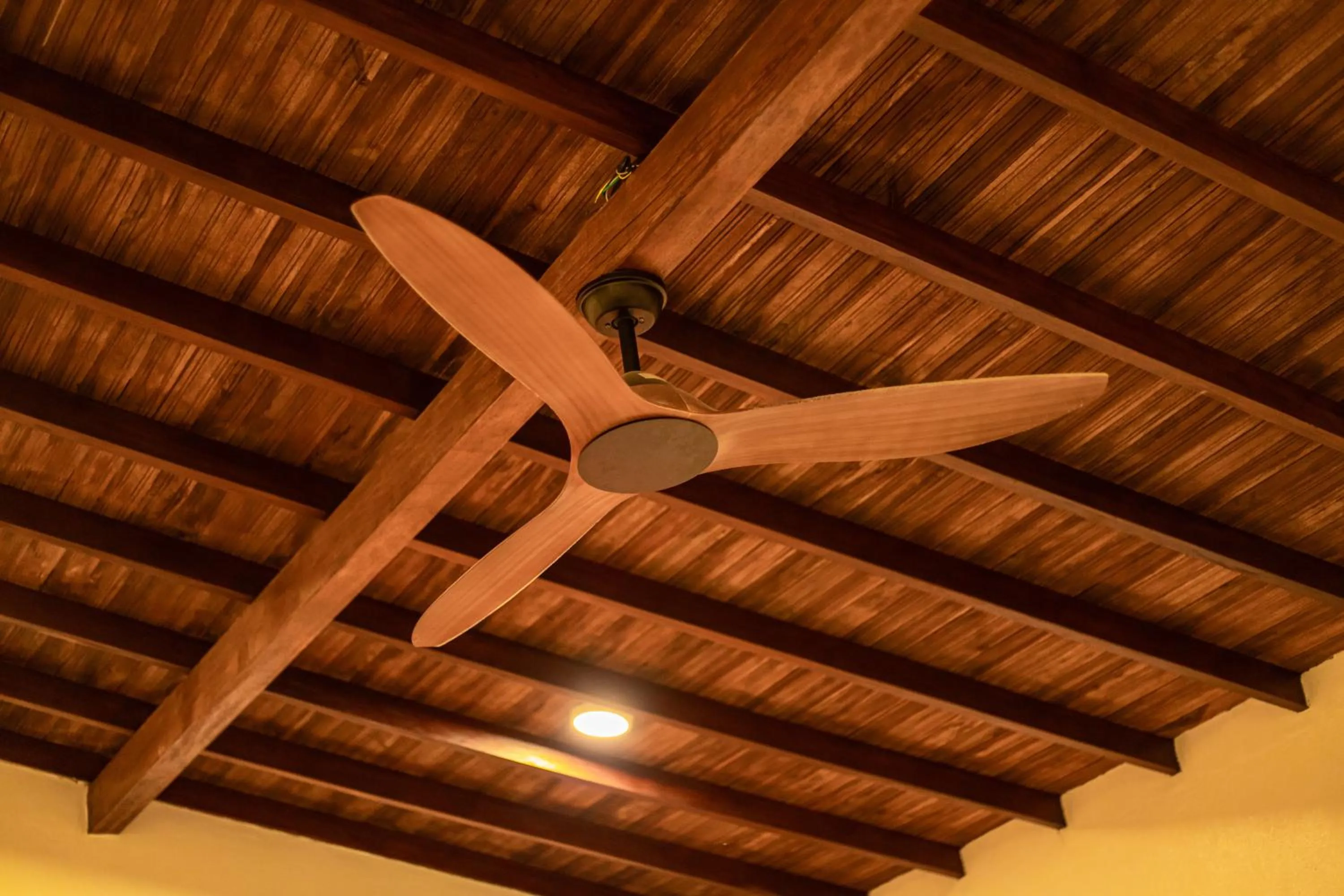 Photo of the whole room in Portales del Tayrona Garden Hotel