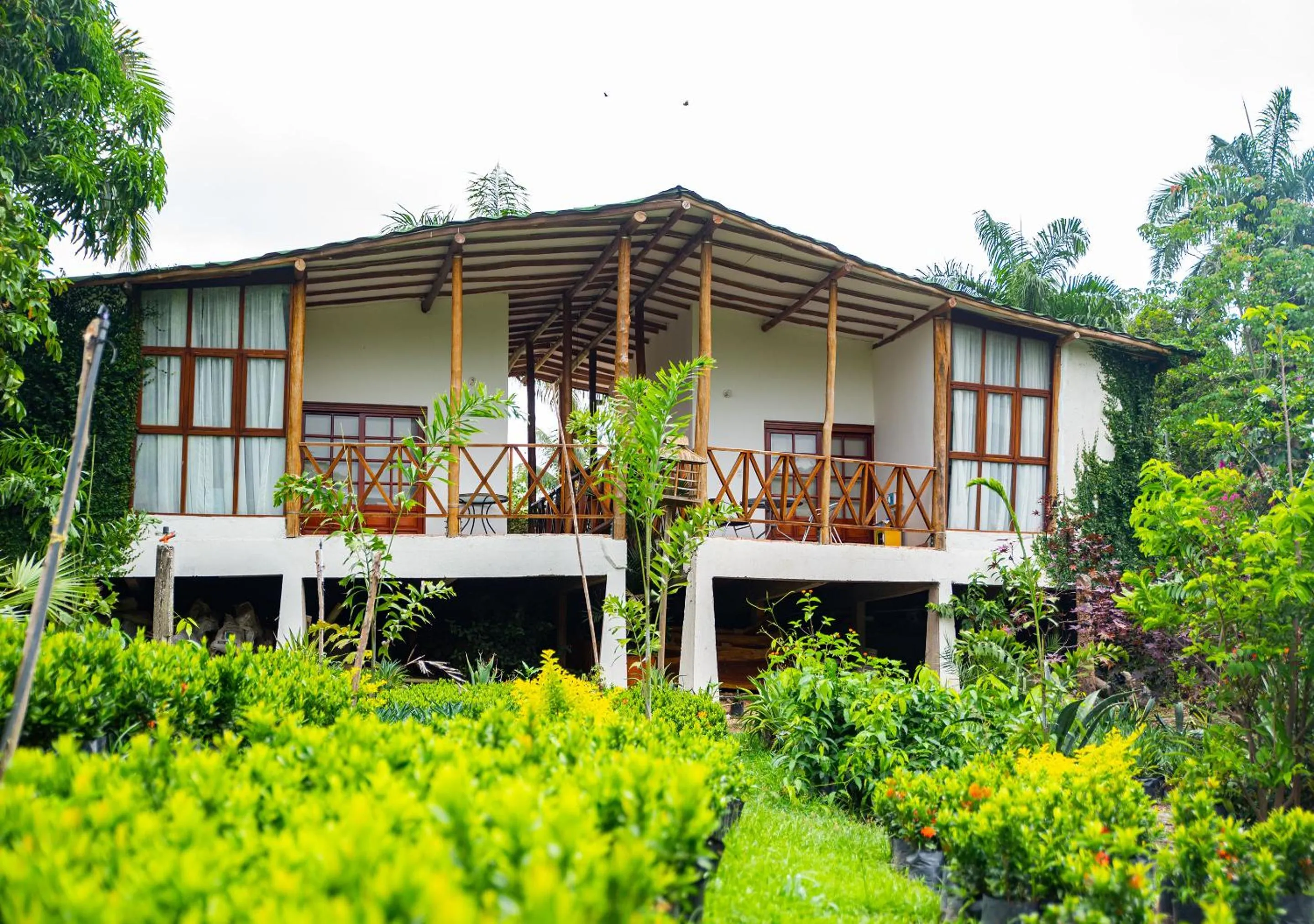 View (from property/room) in Portales del Tayrona Garden Hotel