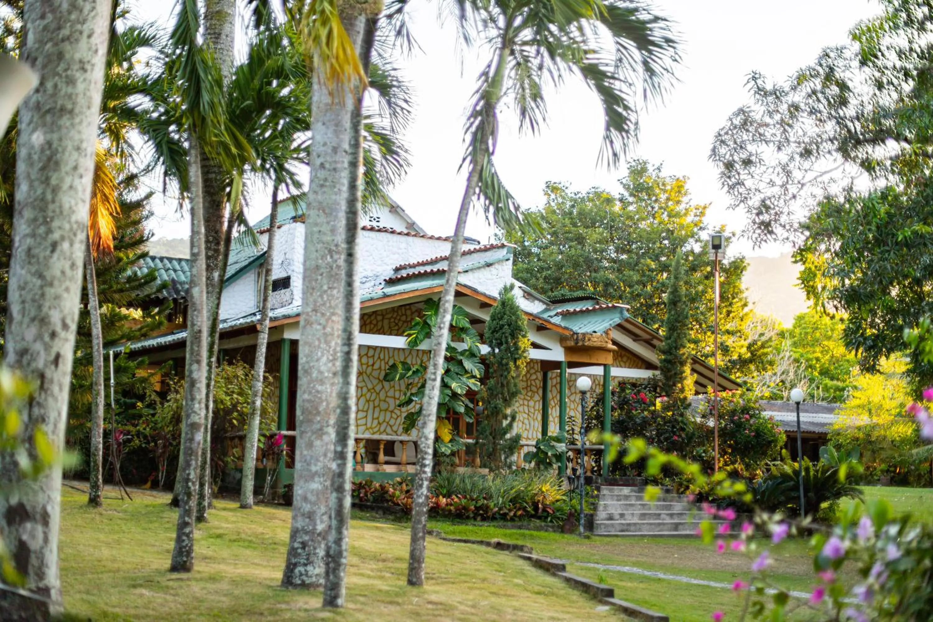 Natural landscape in Portales del Tayrona Garden Hotel