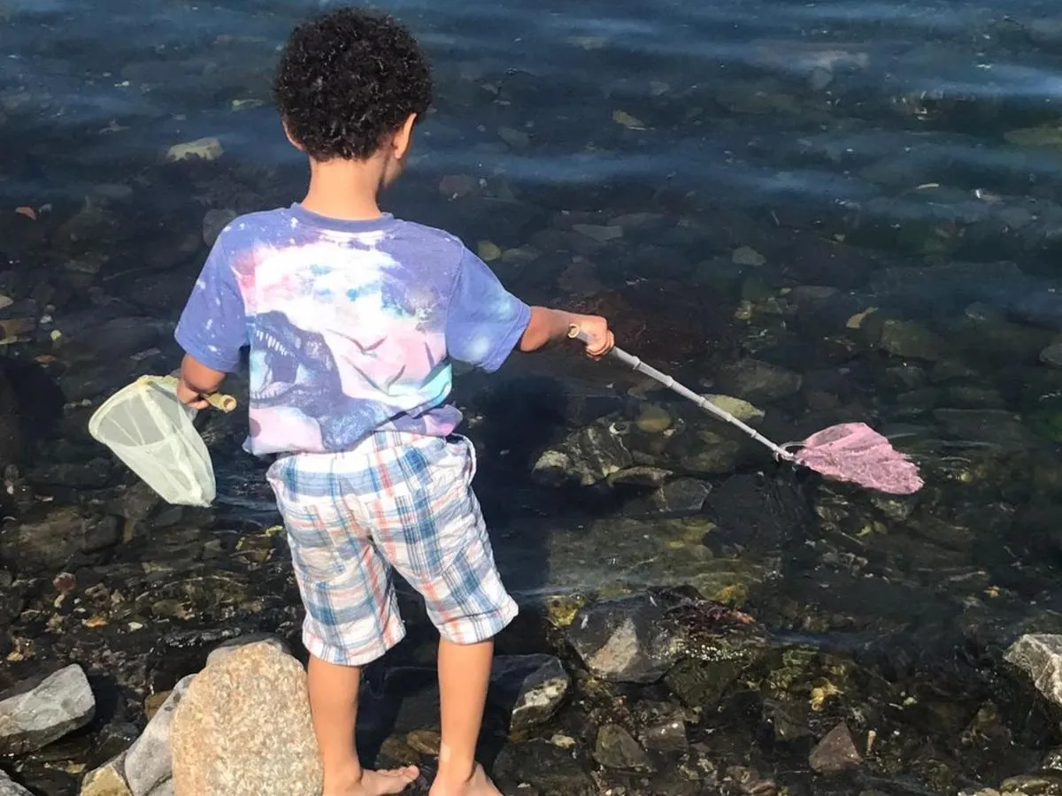 Activities in Pew with a View - Seafront Cottages