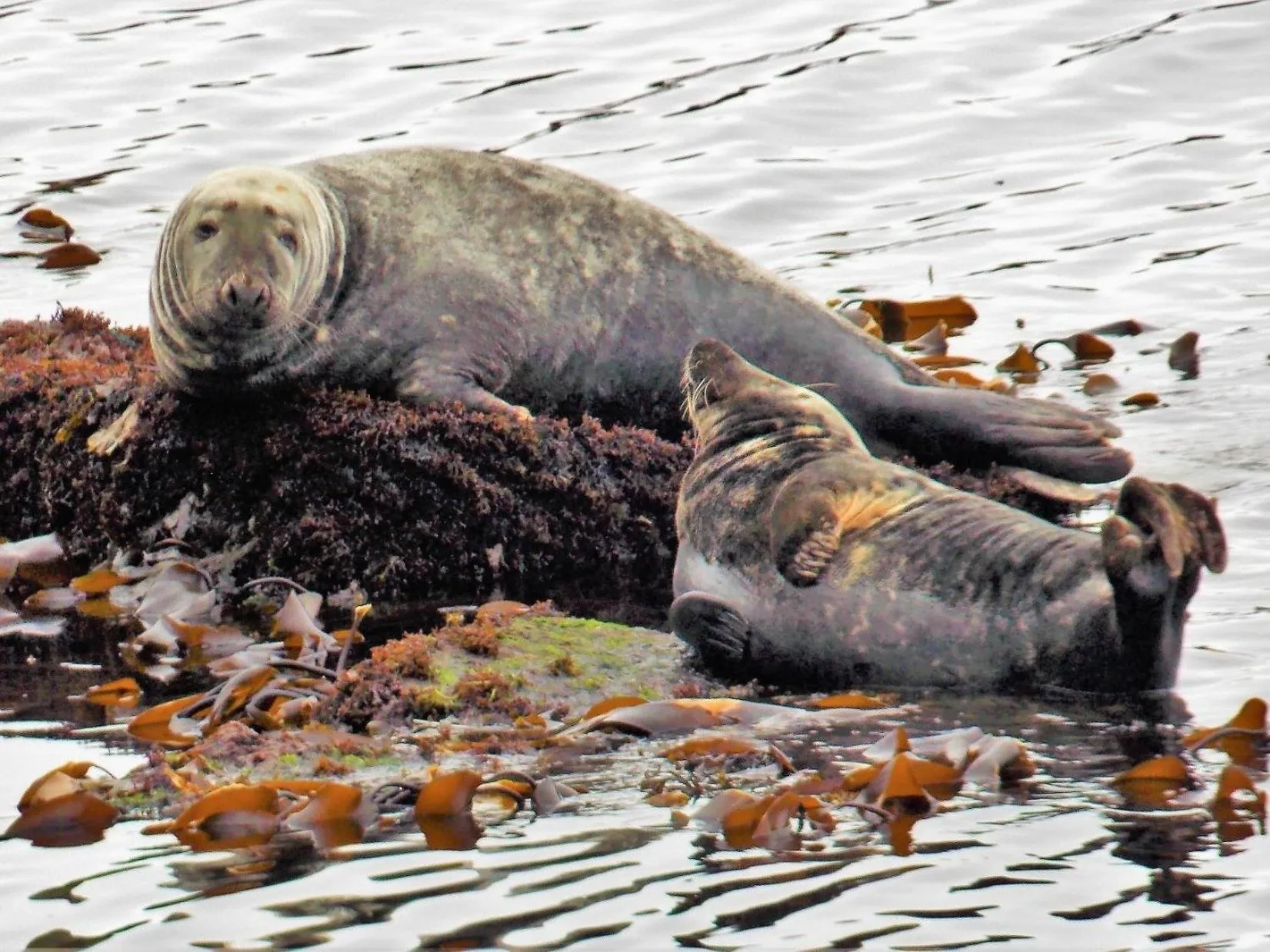 View (from property/room) in Pew with a View - Seafront Cottages