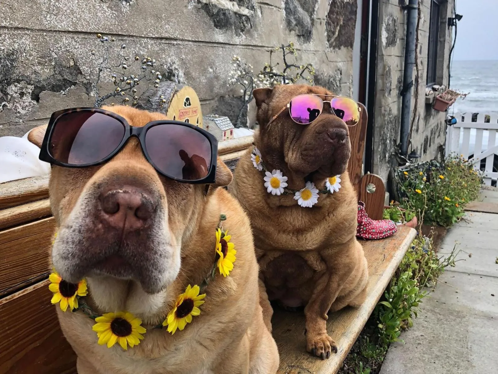 Property building in Pew with a View - Seafront Cottages
