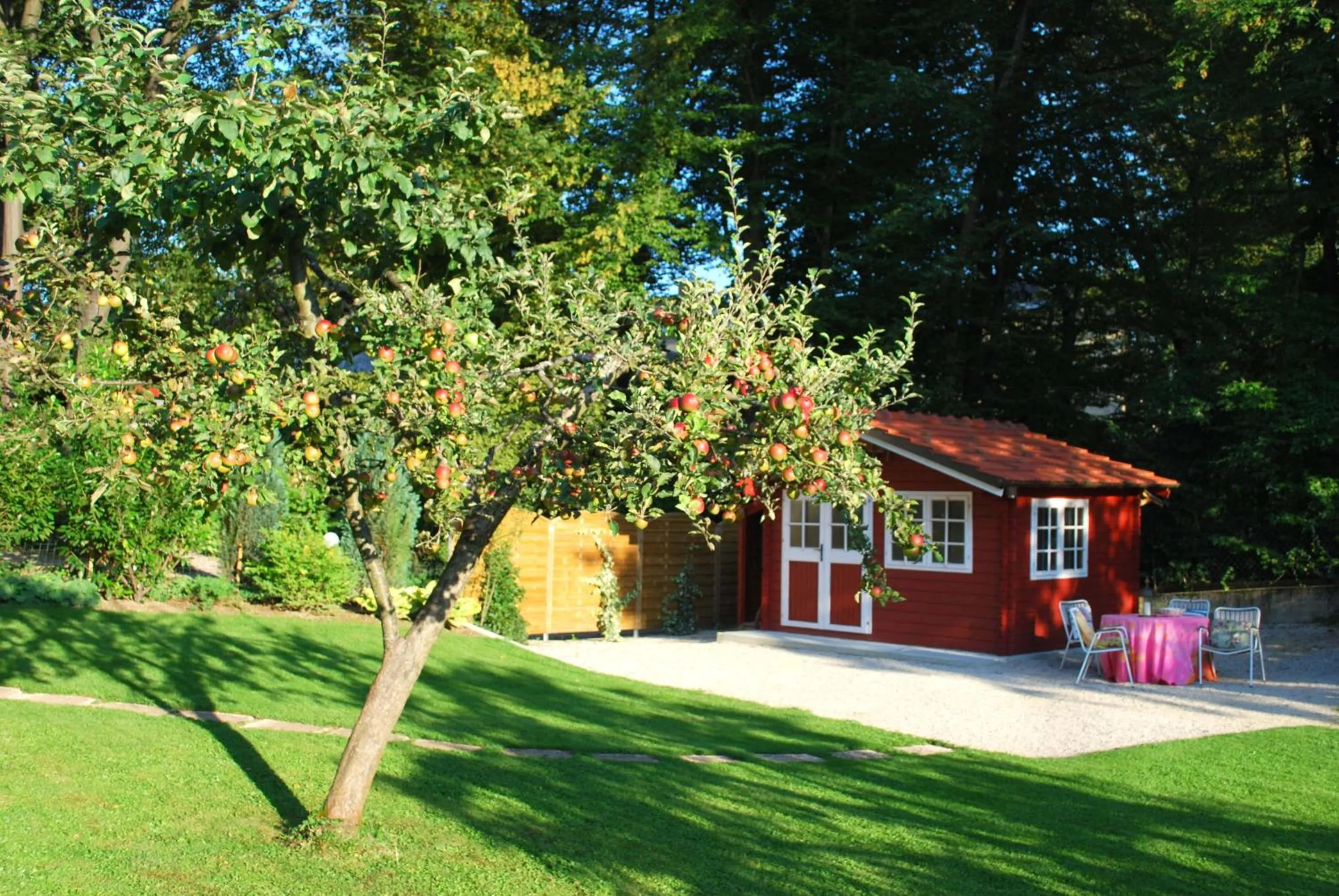 Garden in Haus Elisabeth, Appartements