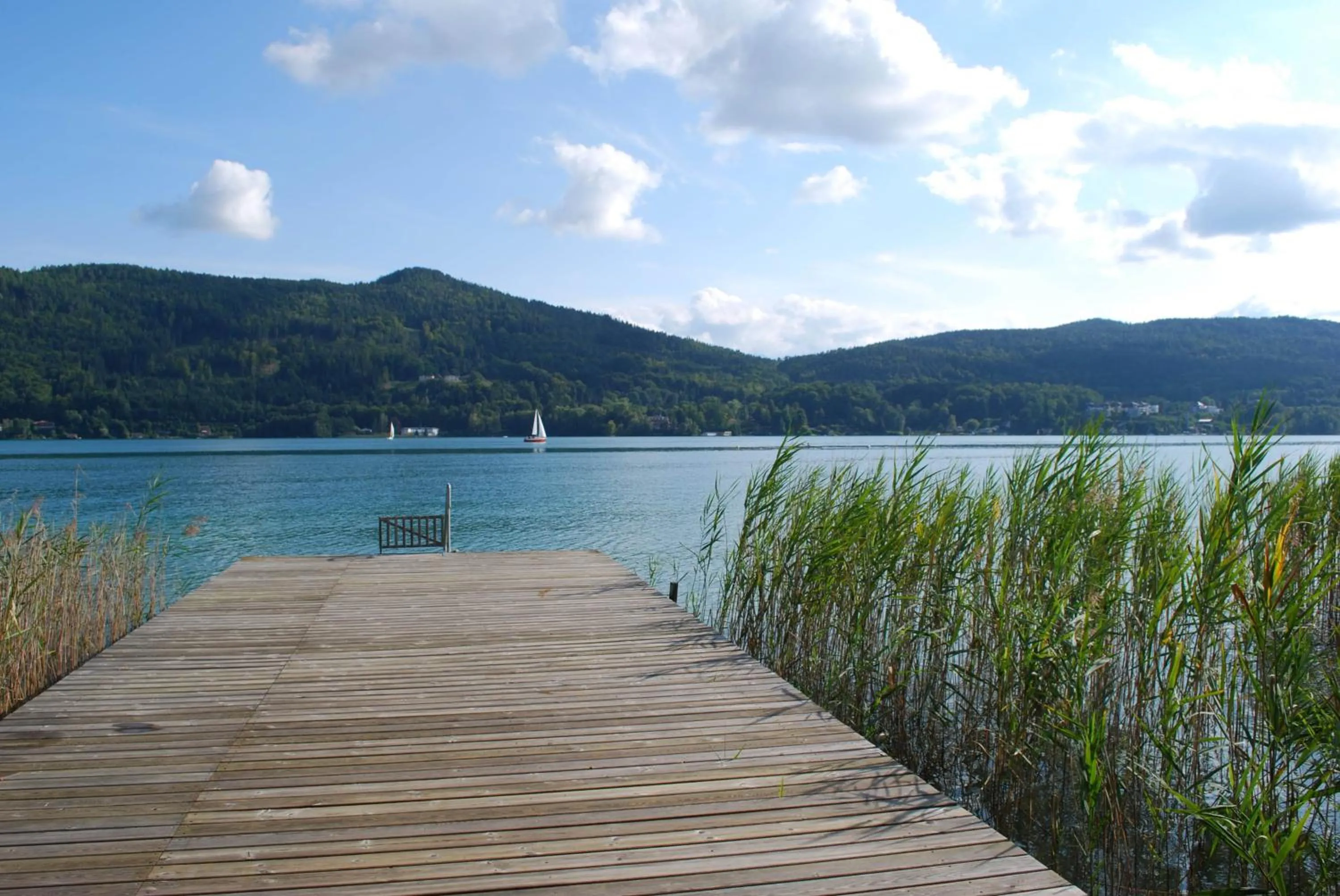 Natural landscape in Haus Elisabeth, Appartements