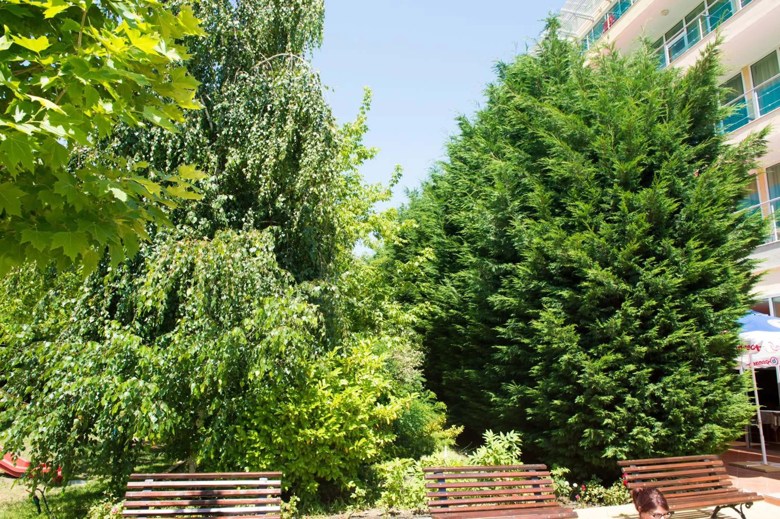 Garden in Ivana Palace Hotel - Free Parking