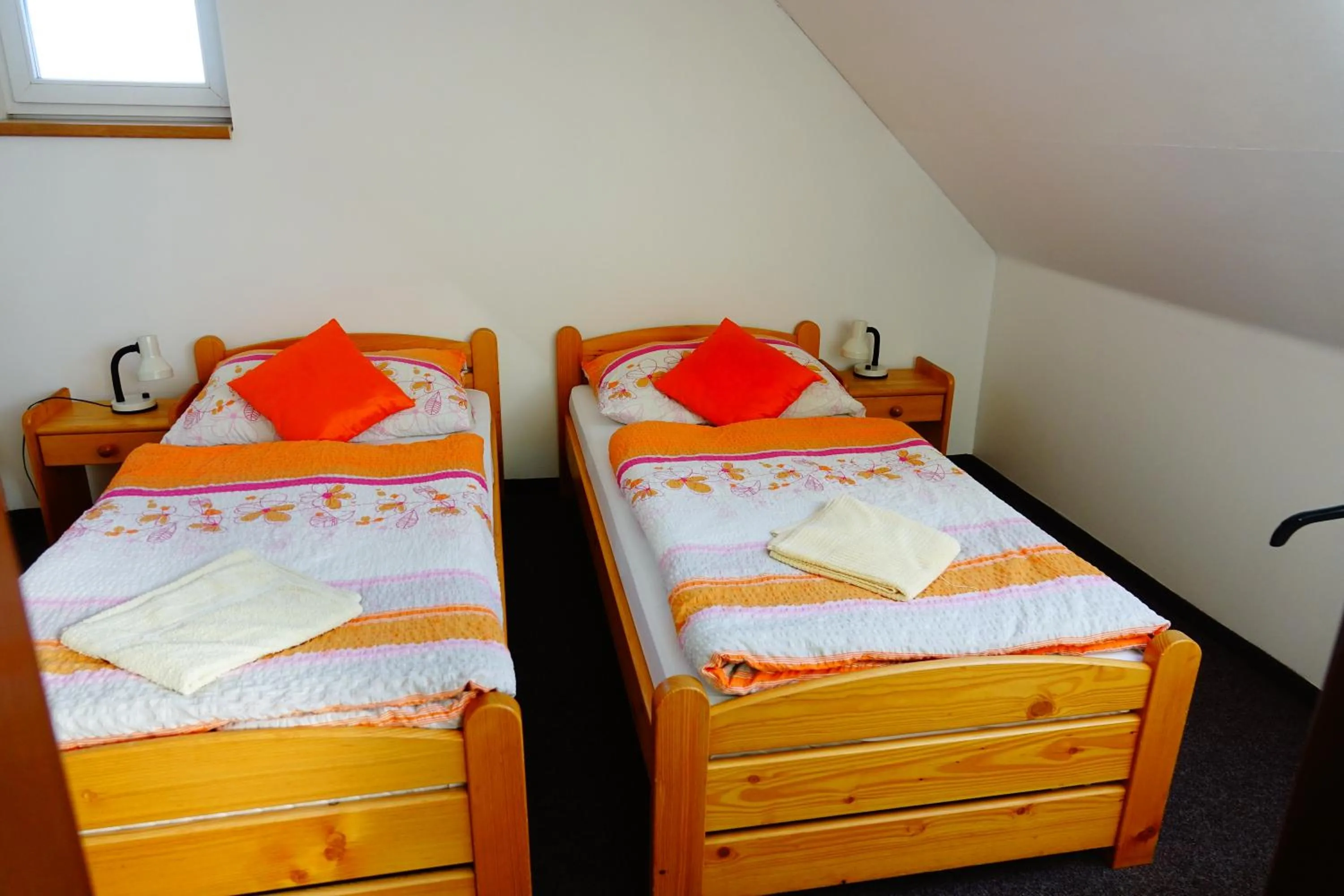 Photo of the whole room, Bed in Penzion U Studánky