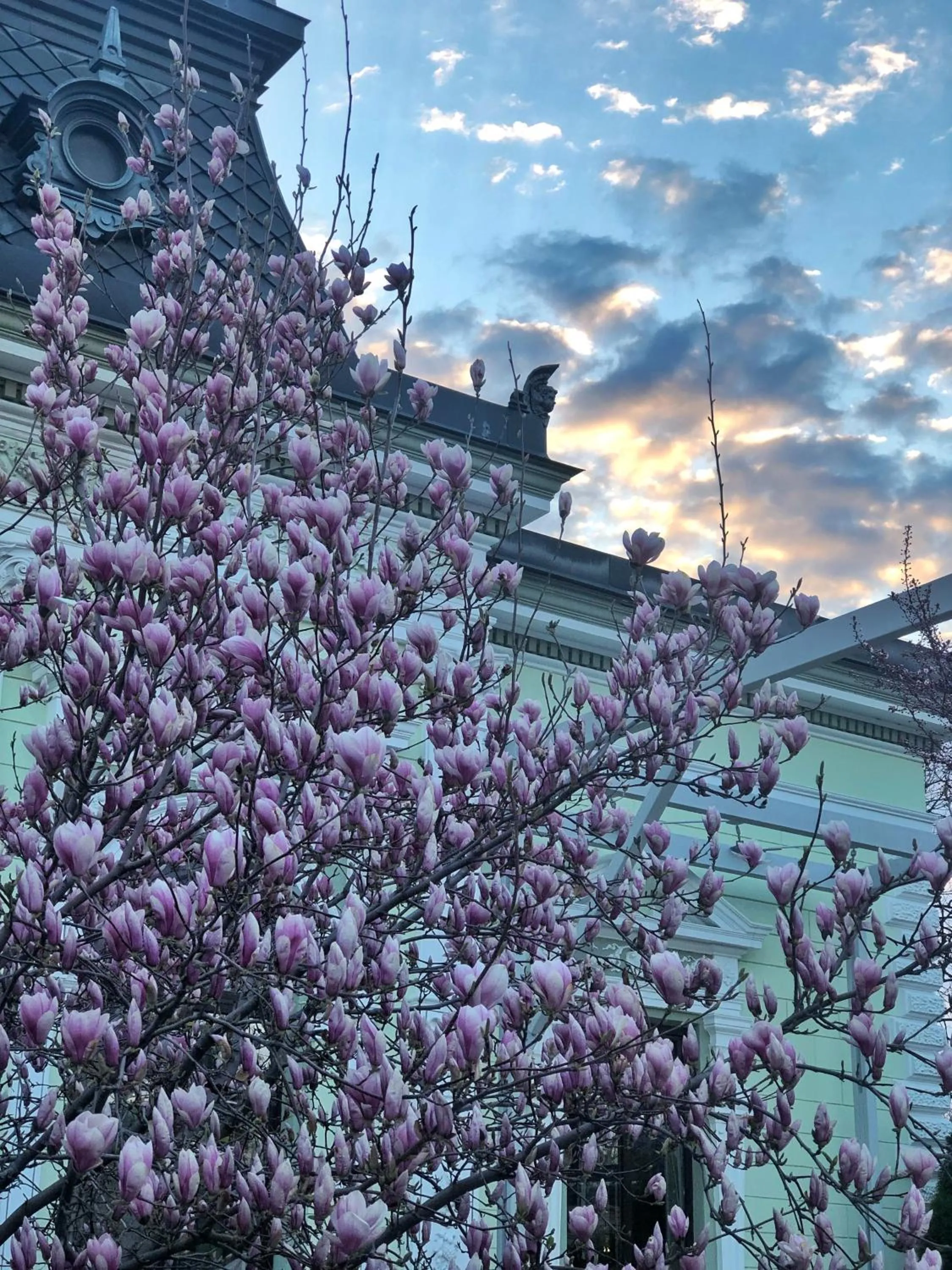 Hotel Belvedere