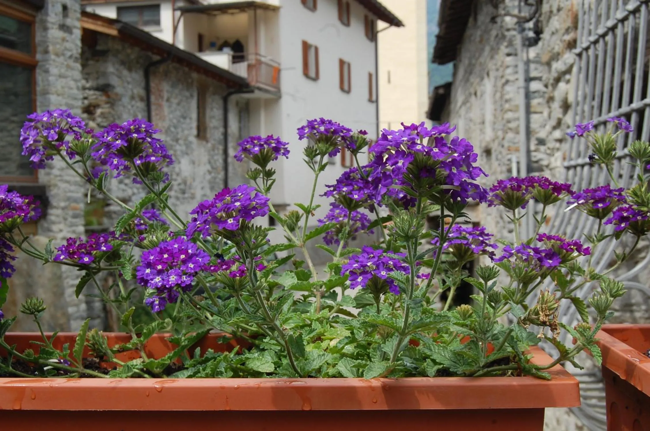 Nearby landmark in B&B Al Mulino