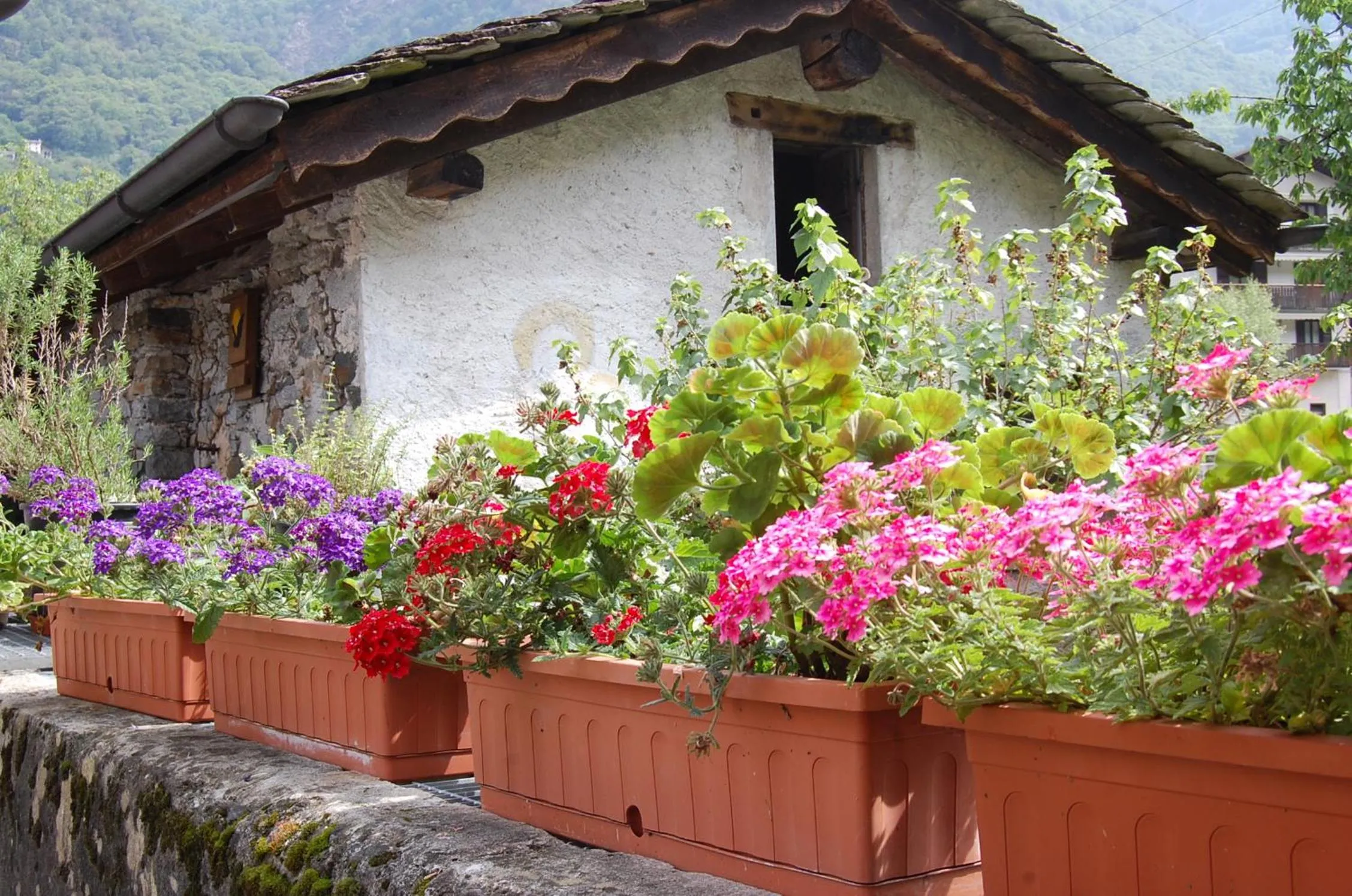 Other in B&B Al Mulino